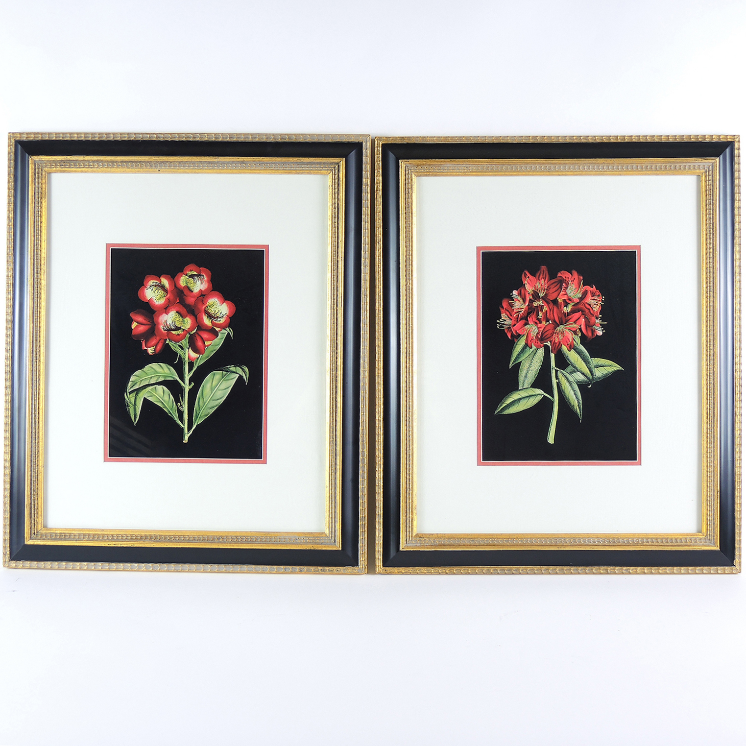 Floral Offset Lithographs