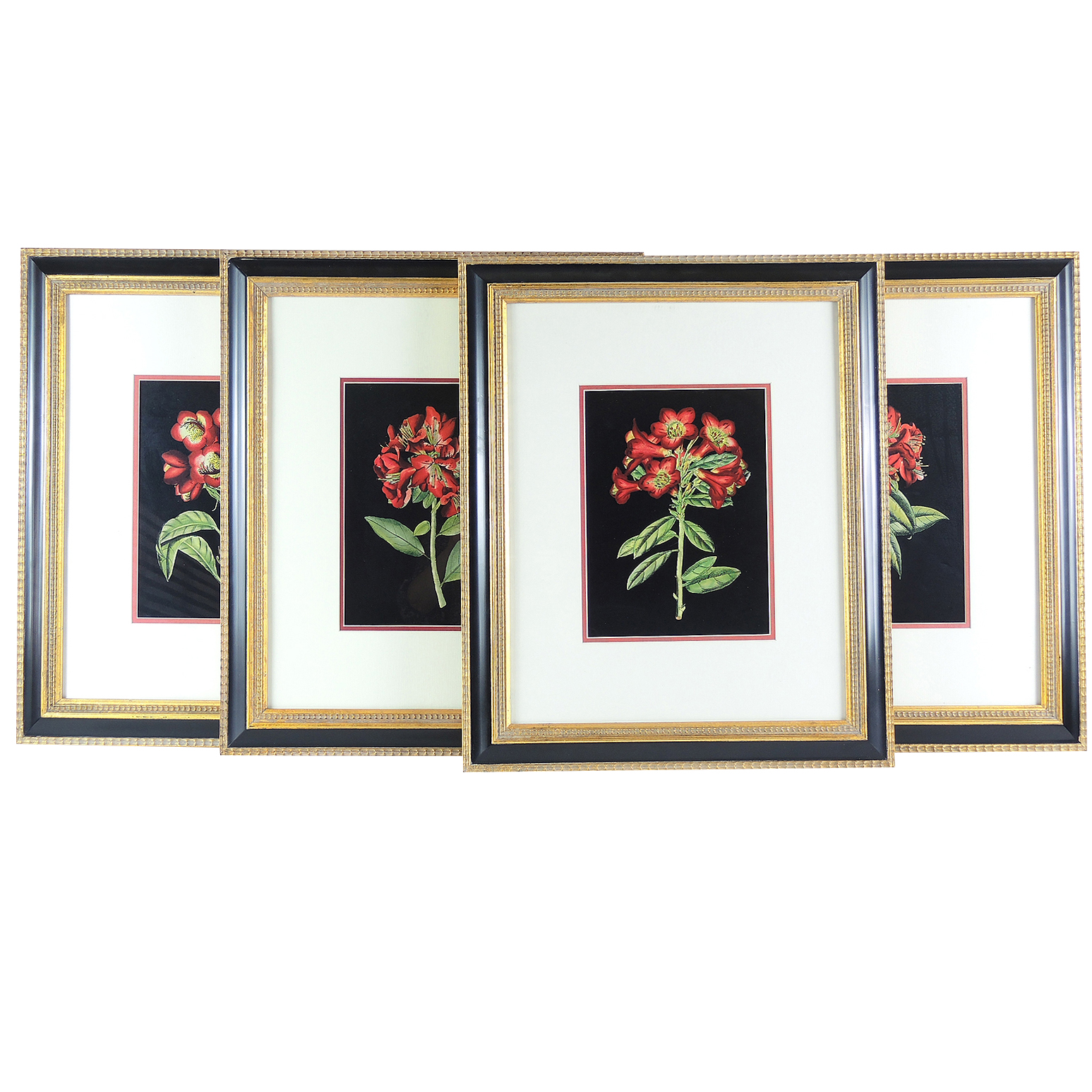 Floral Offset Lithographs