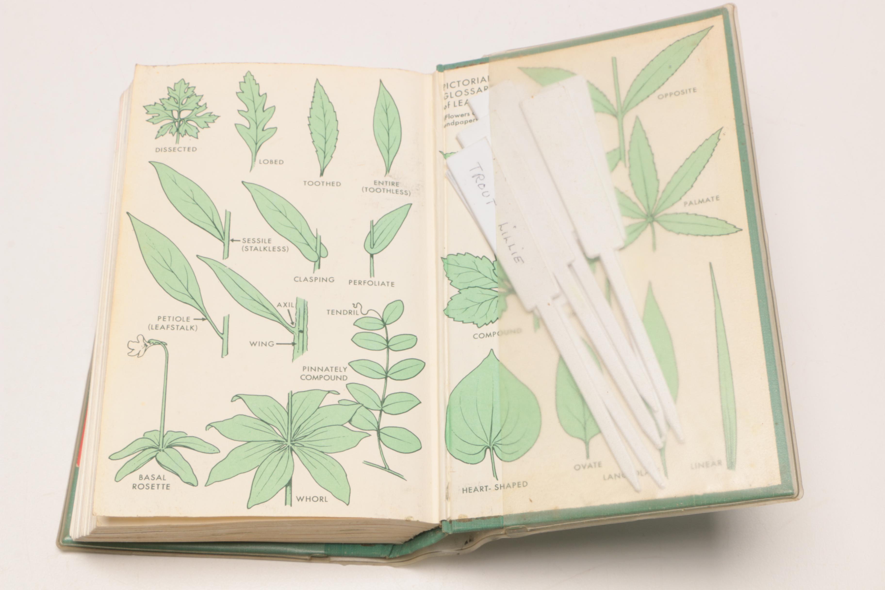 1950 "The Serene Cincinnatians" and Other Vintage Books