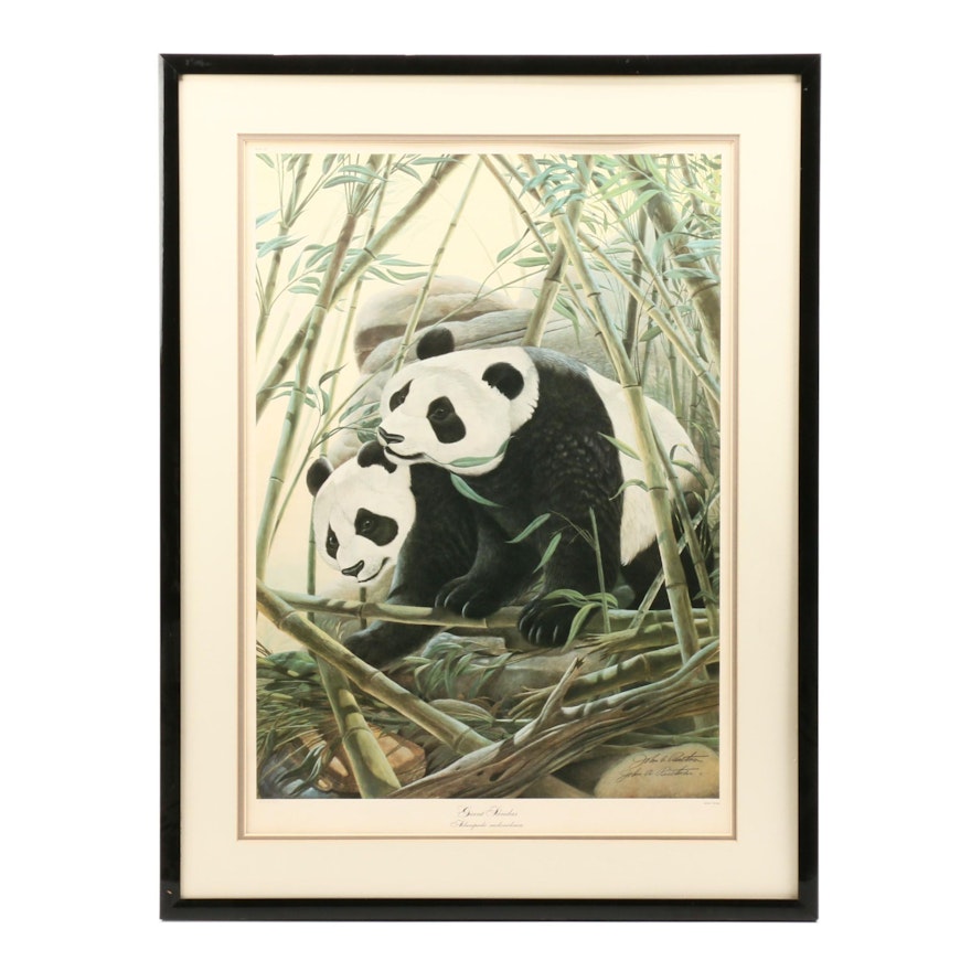 John Ruthven Offset Lithgoraph "Giant Pandas"