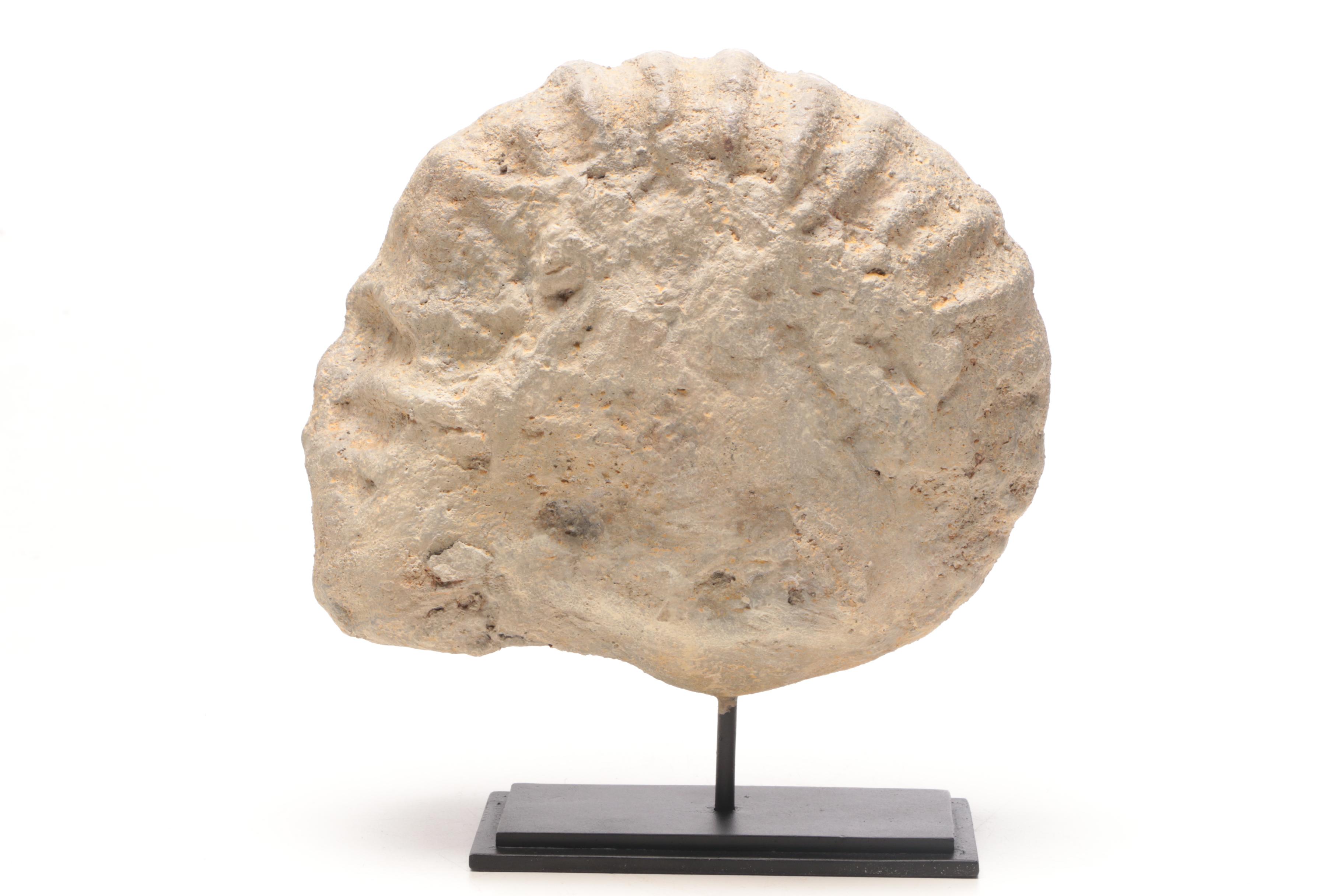 Reproduction Coiled Ammonite Specimen with Stand