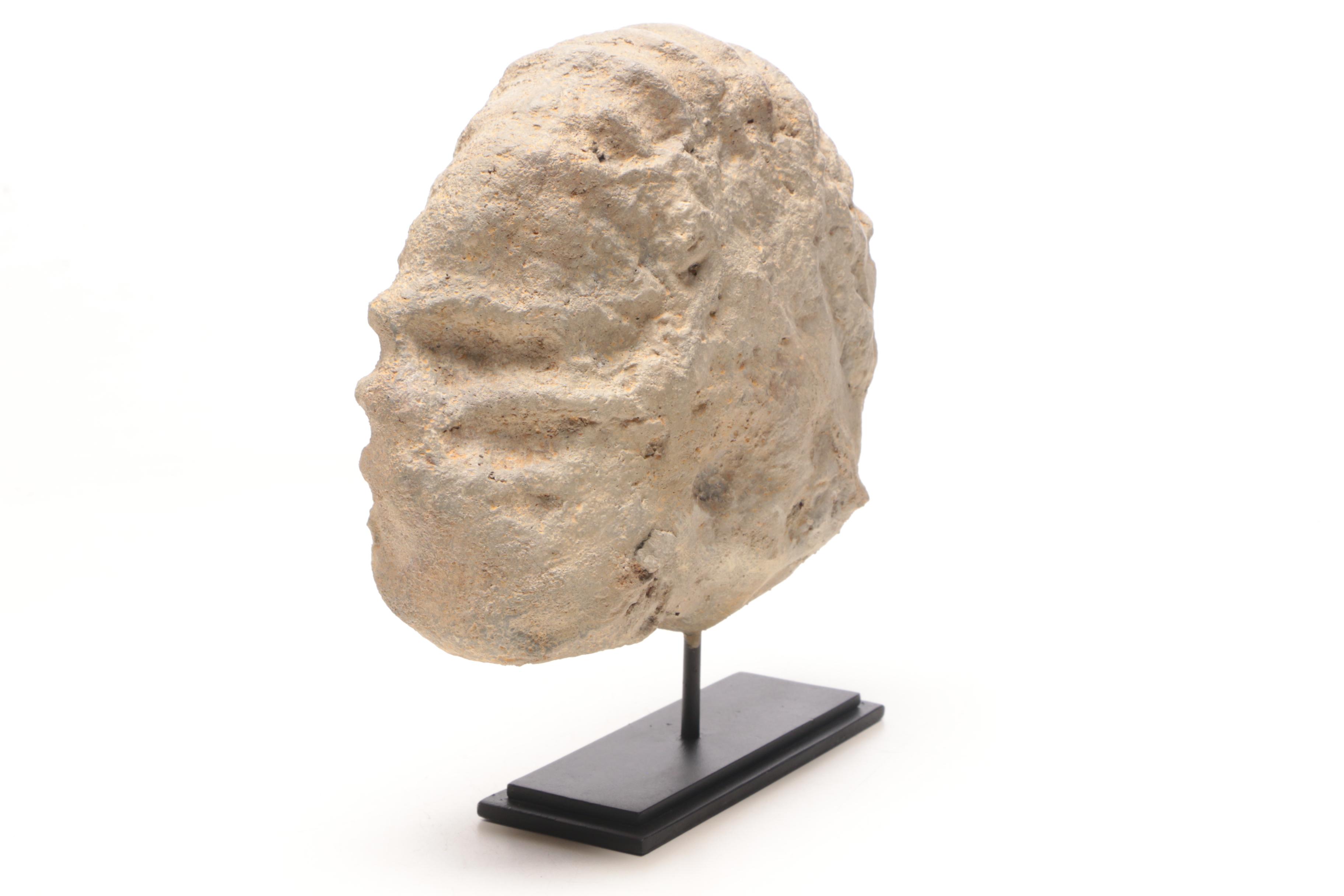 Reproduction Coiled Ammonite Specimen with Stand