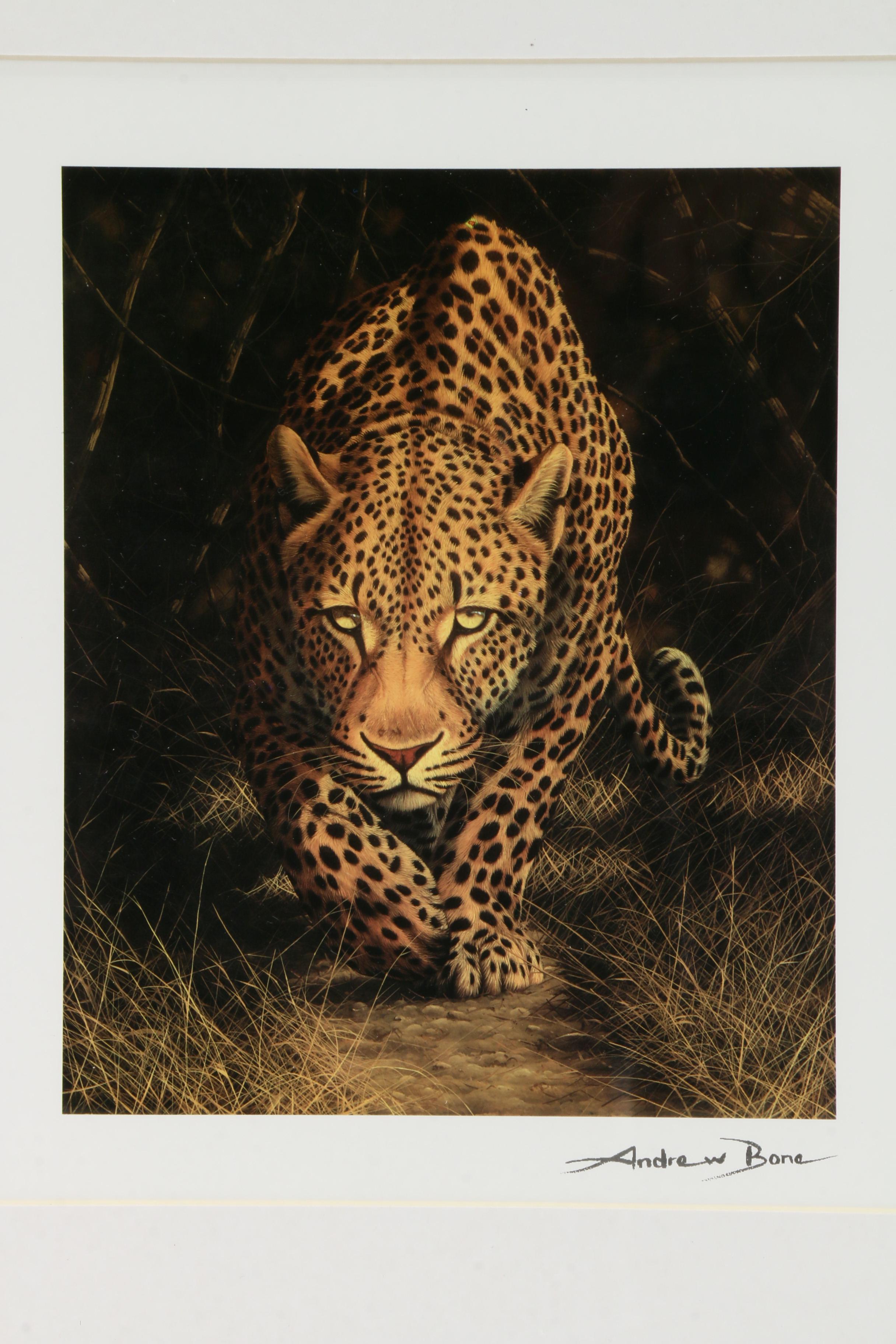 Seriolithograph After Andrew Bone "African Mystique"