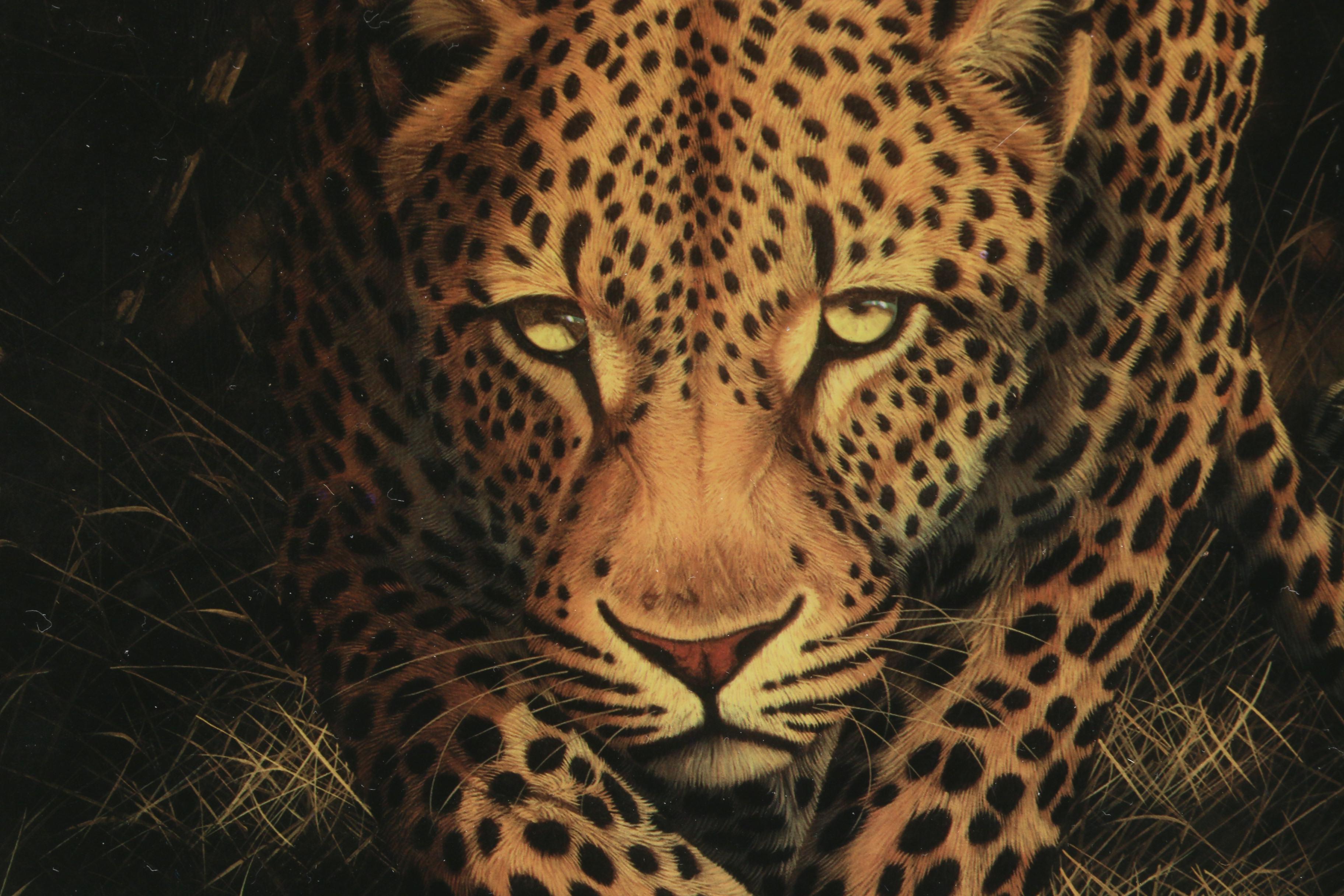 Seriolithograph After Andrew Bone "African Mystique"