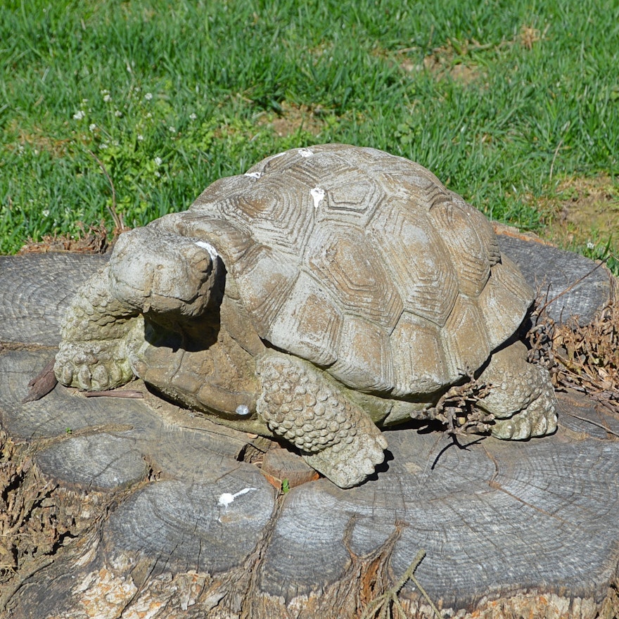 Concrete Garden Tortoise