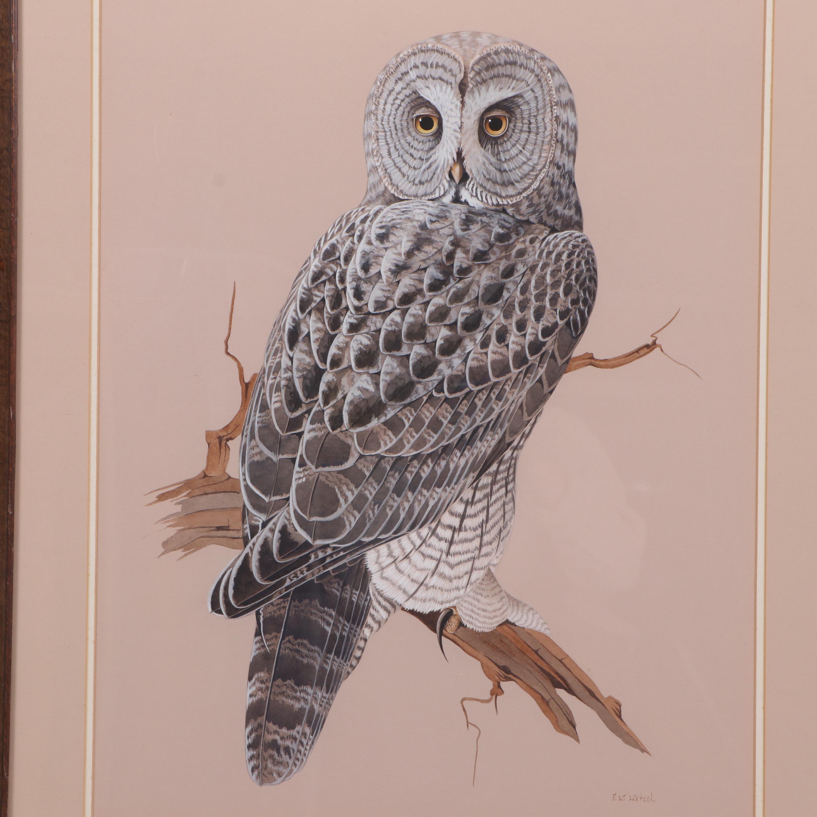 Frederick William Wetzel Watercolor and Gouache Painting of an Owl