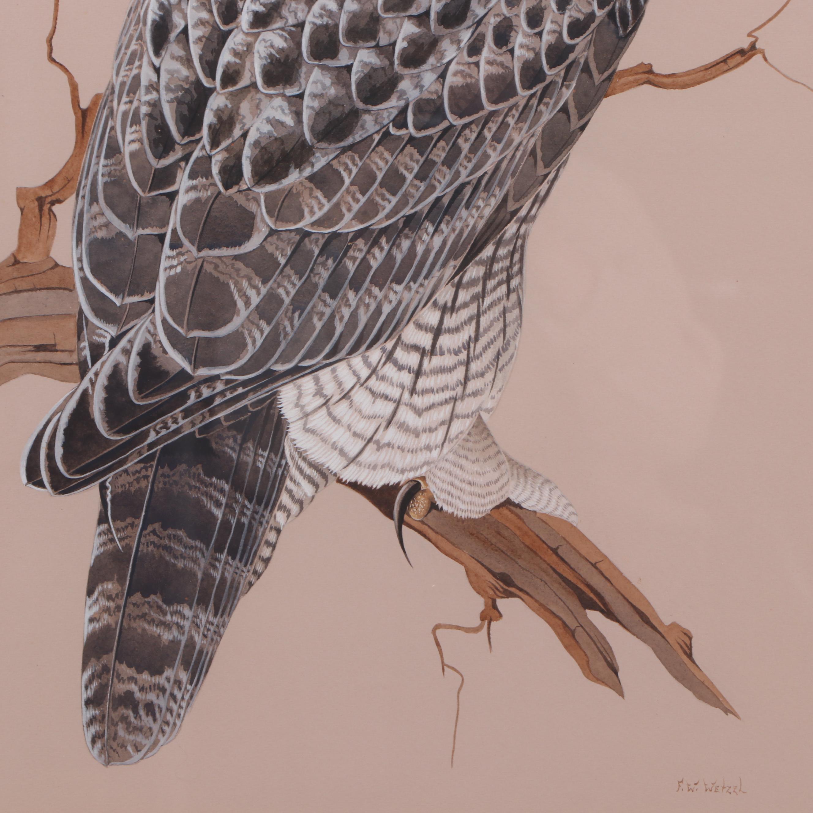 Frederick William Wetzel Watercolor and Gouache Painting of an Owl