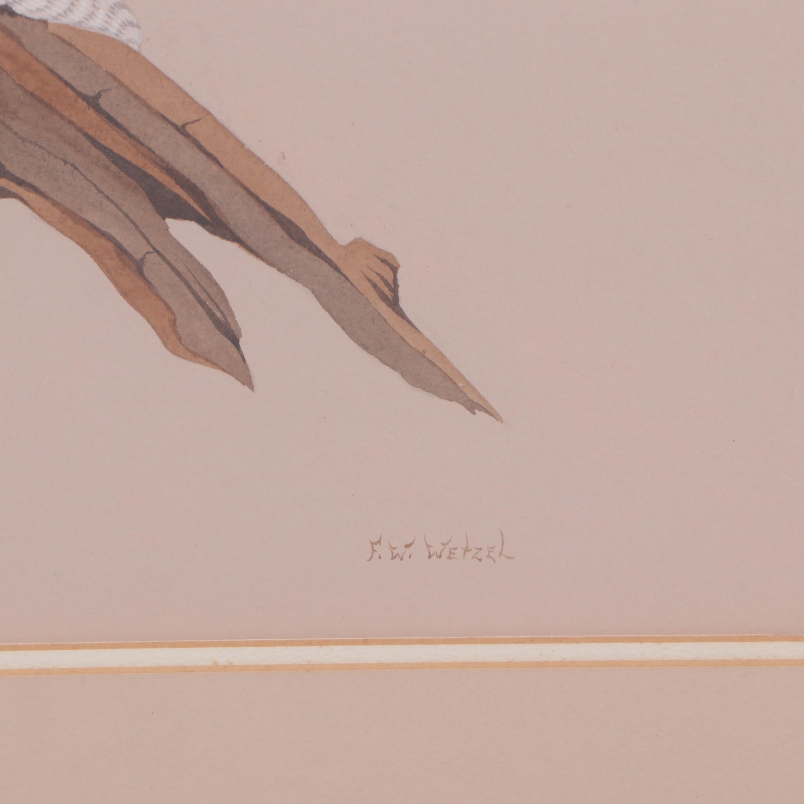 Frederick William Wetzel Watercolor and Gouache Painting of an Owl