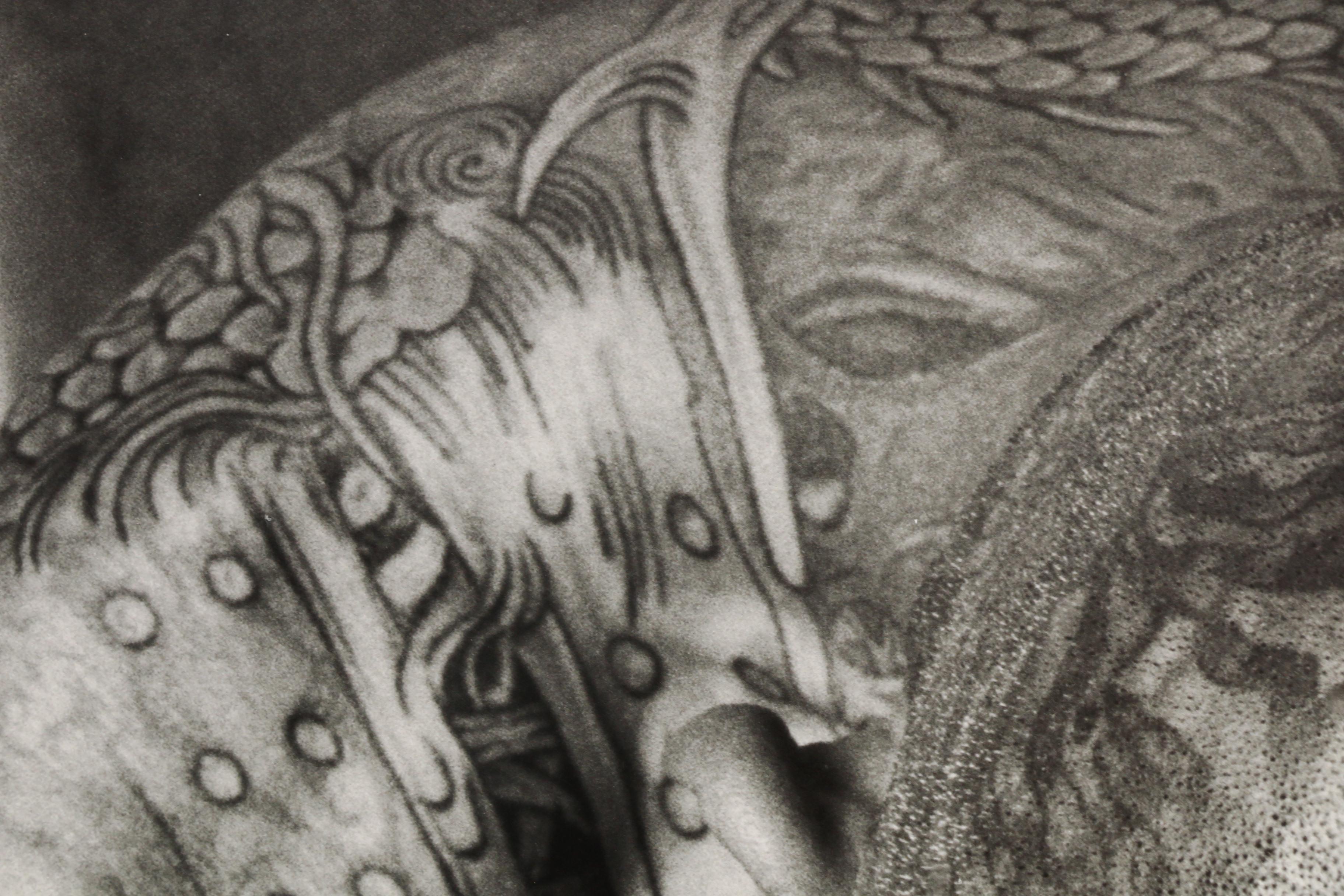 John Wyatt Archival Inkjet Print "David, Retired Gardening Supervisor"