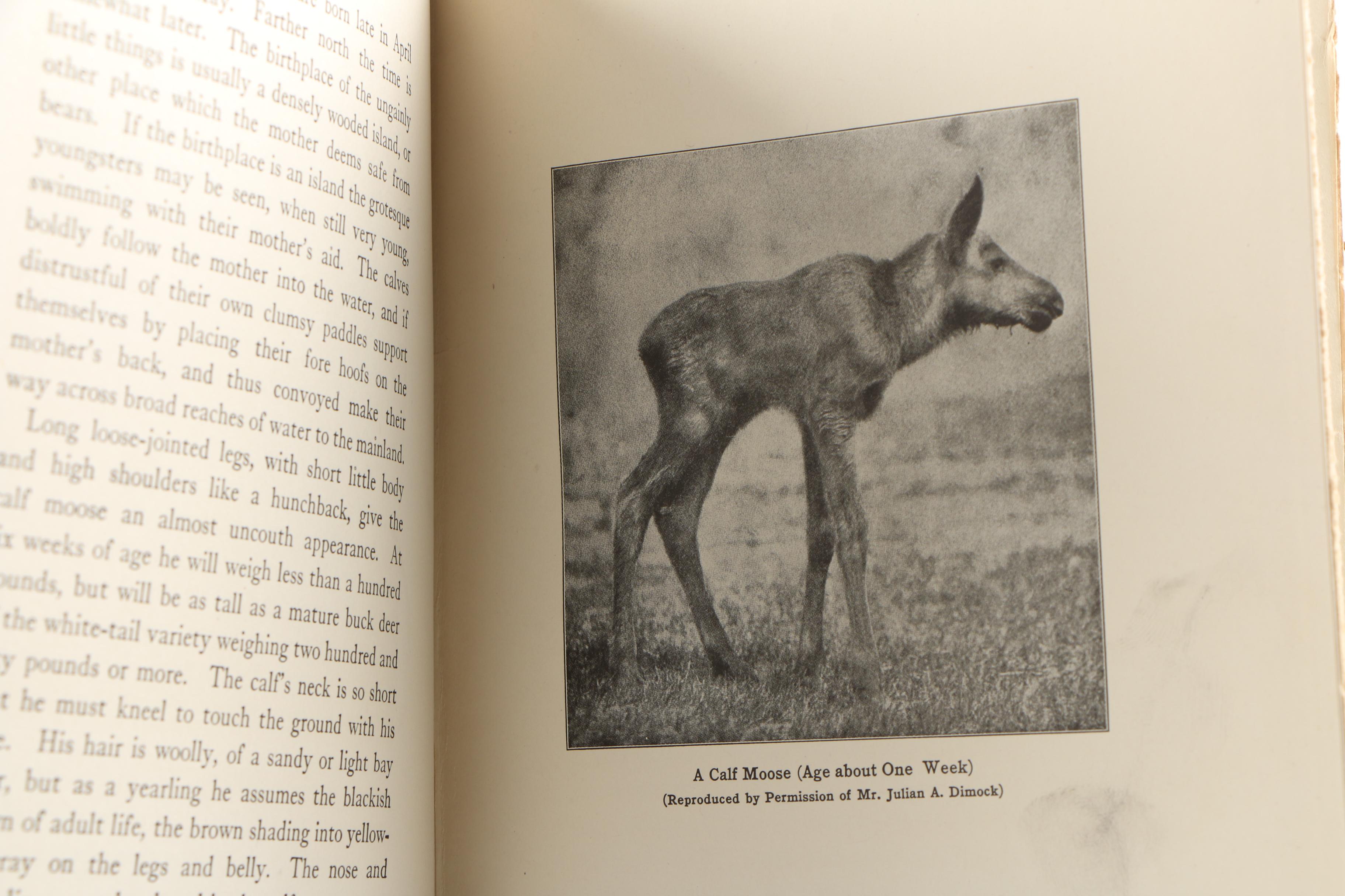 Books on Moose featuring 1920 "The Moose Book" by Samuel Merrill