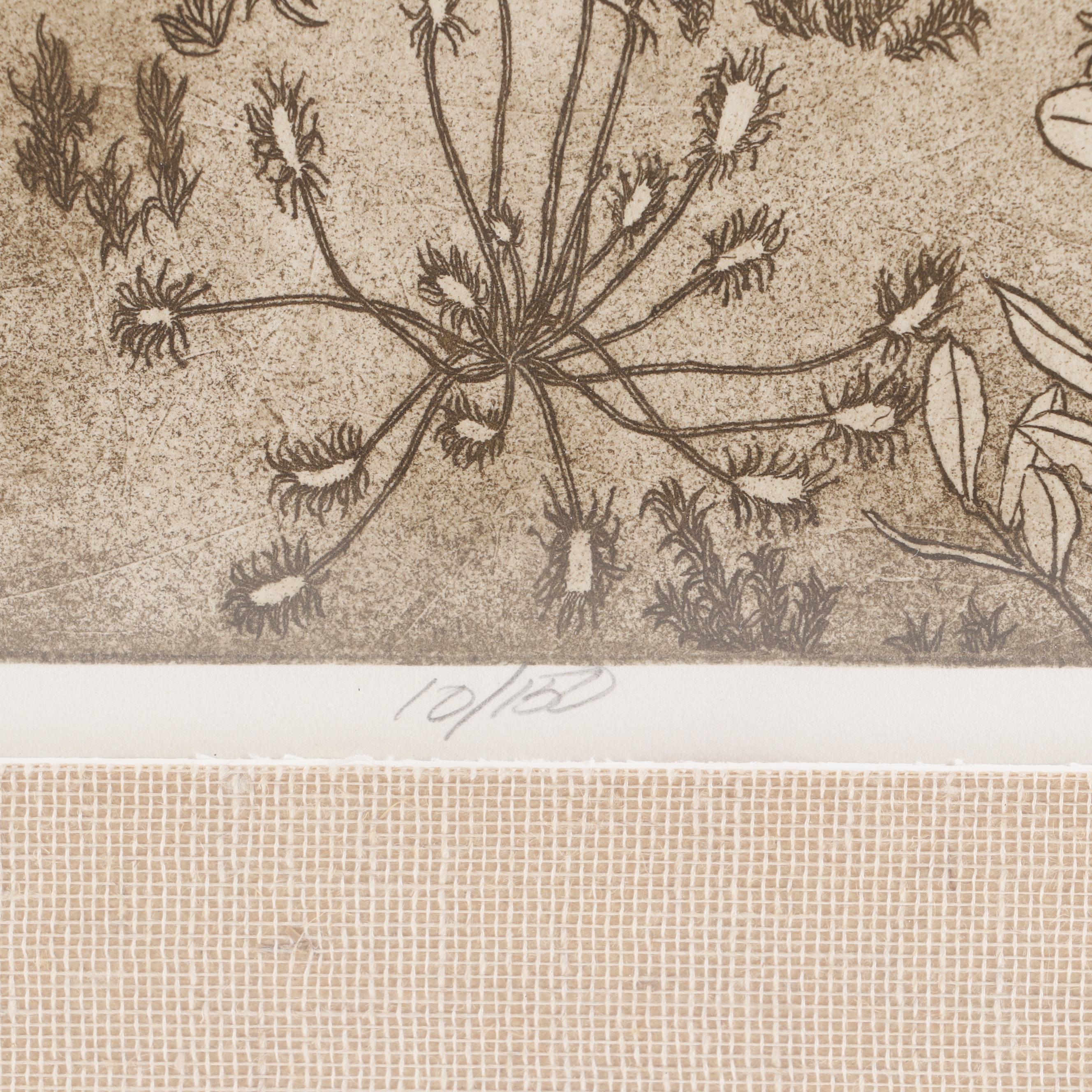 Bethia Brehmer Engraving "Heron", 1977