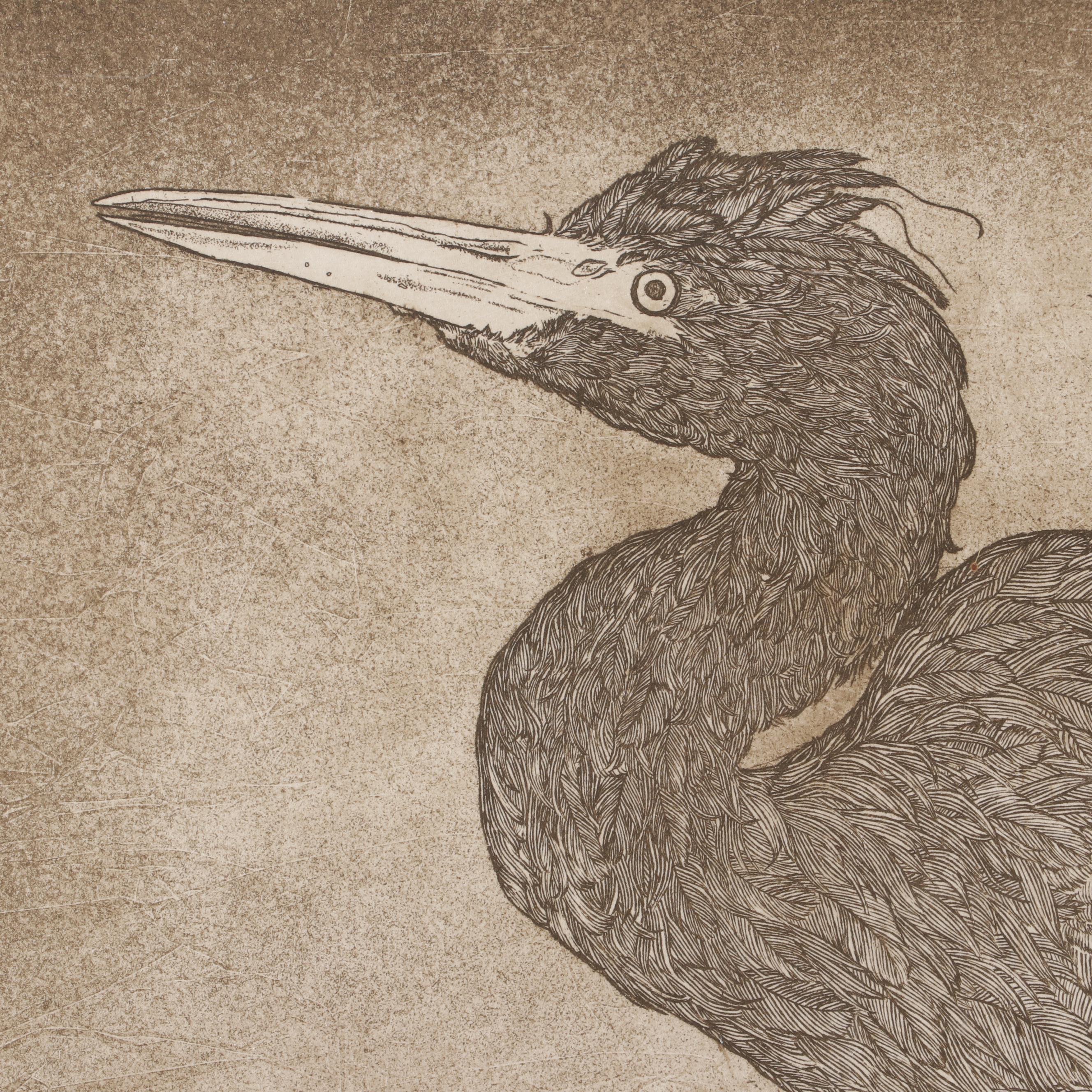 Bethia Brehmer Engraving "Heron", 1977