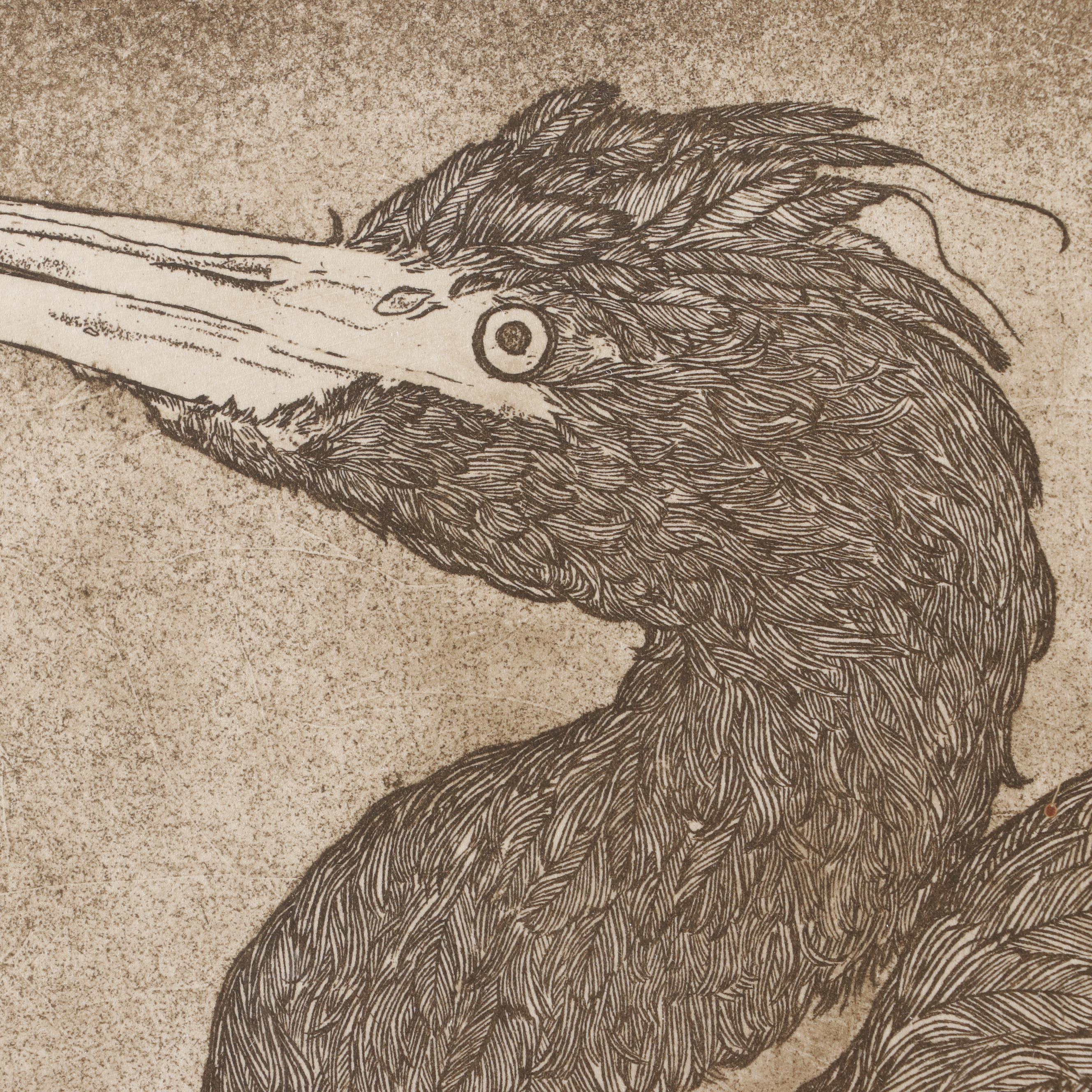 Bethia Brehmer Engraving "Heron", 1977