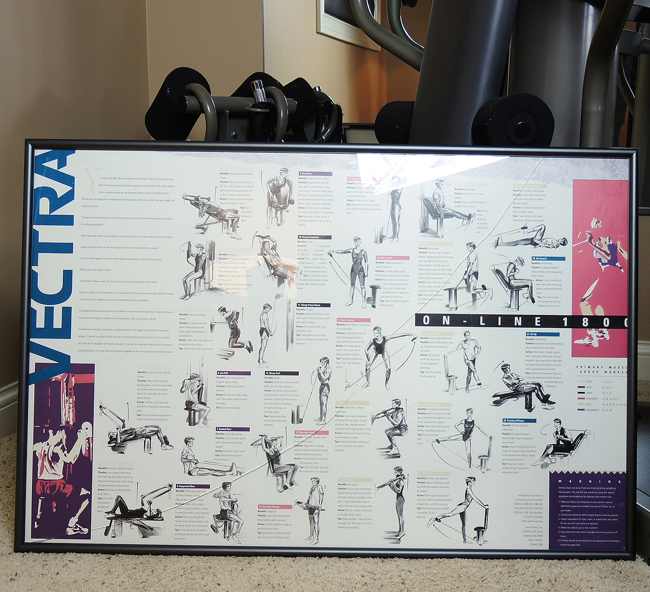 Vectra Online 1800 Strength Training Home Gym