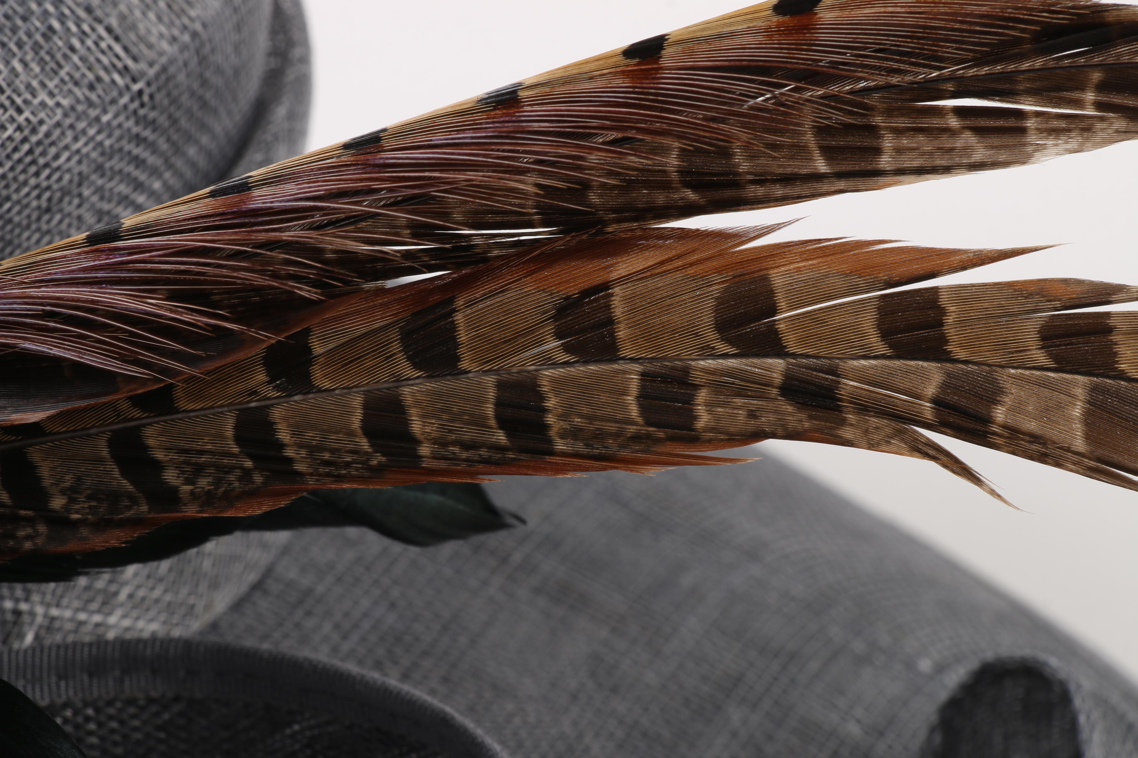 Anne Sawyer Fabulous Hats Gray Wide Brim Hat with Mixed Feather Plume with Box
