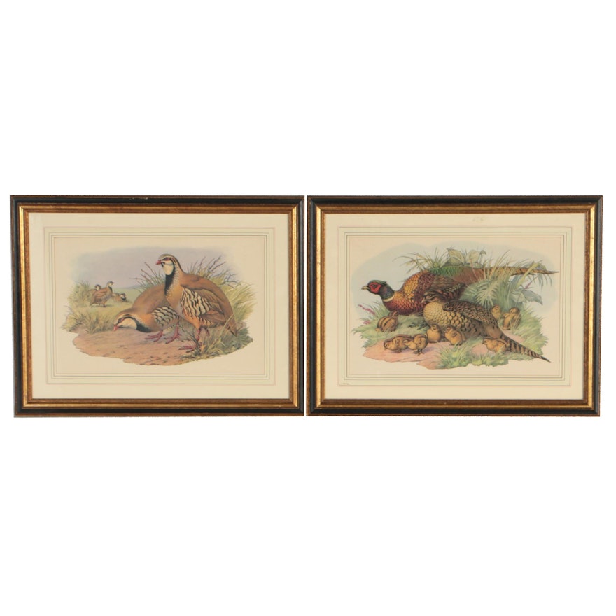 Late 20th Century Wildlife Offset Lithographs of Avian Illustrations