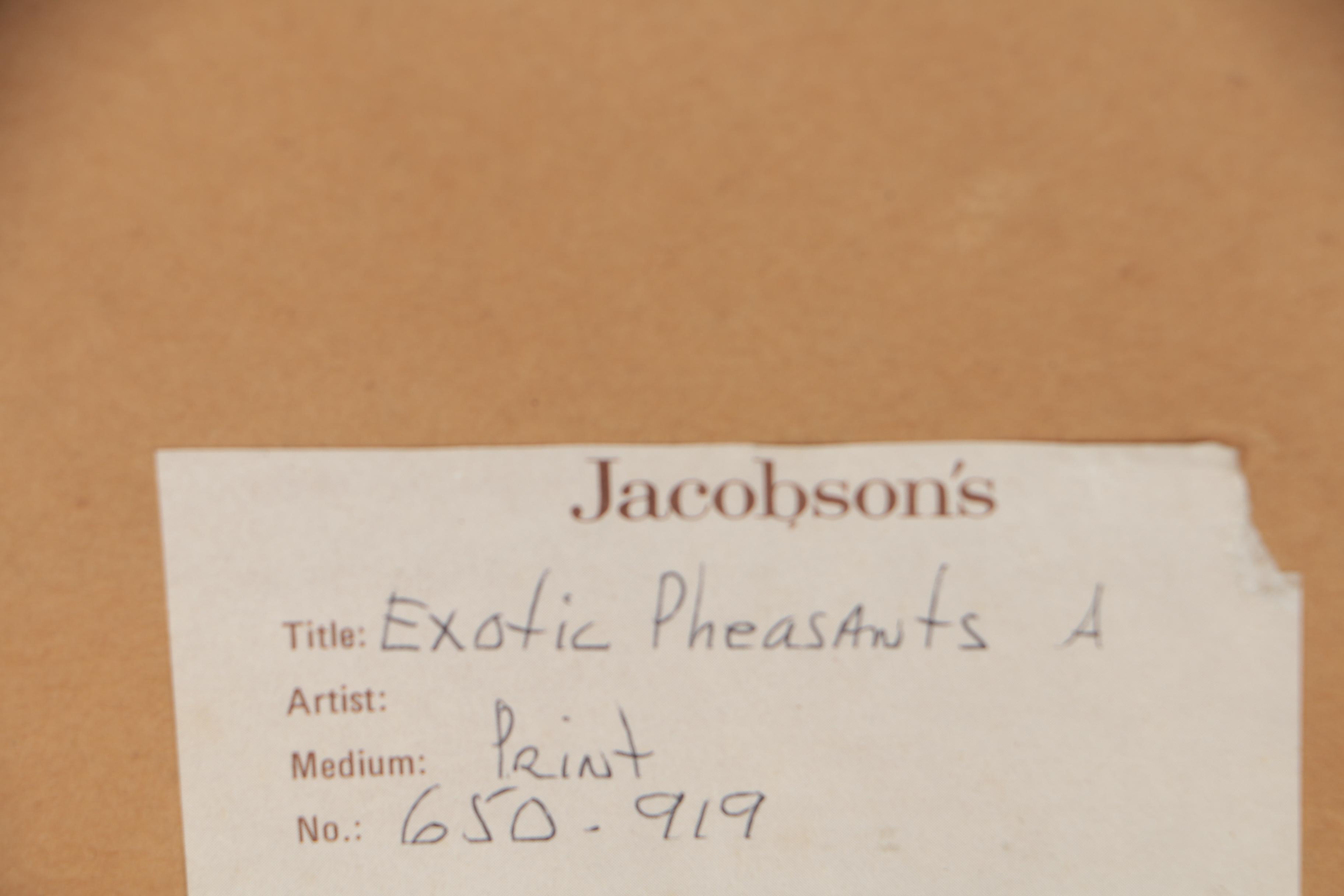 Offset Lithograph after John Gould and H.C. Richter "Pucrasia Castanea"