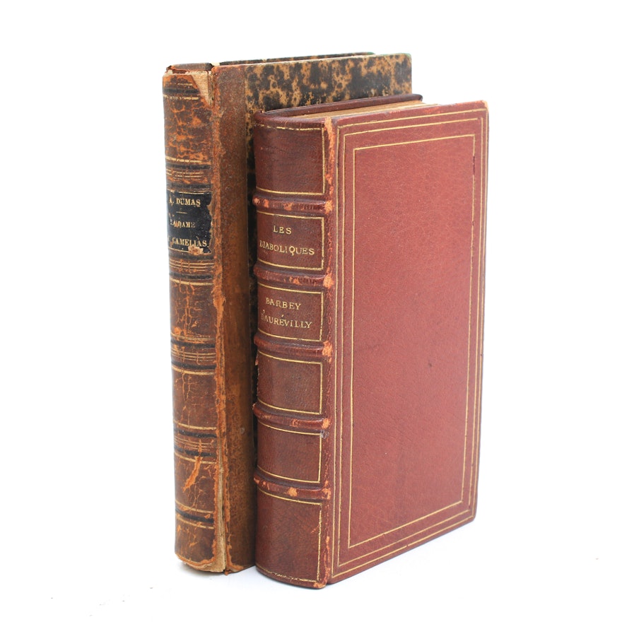 Antique French Language Books Featuring Dumas