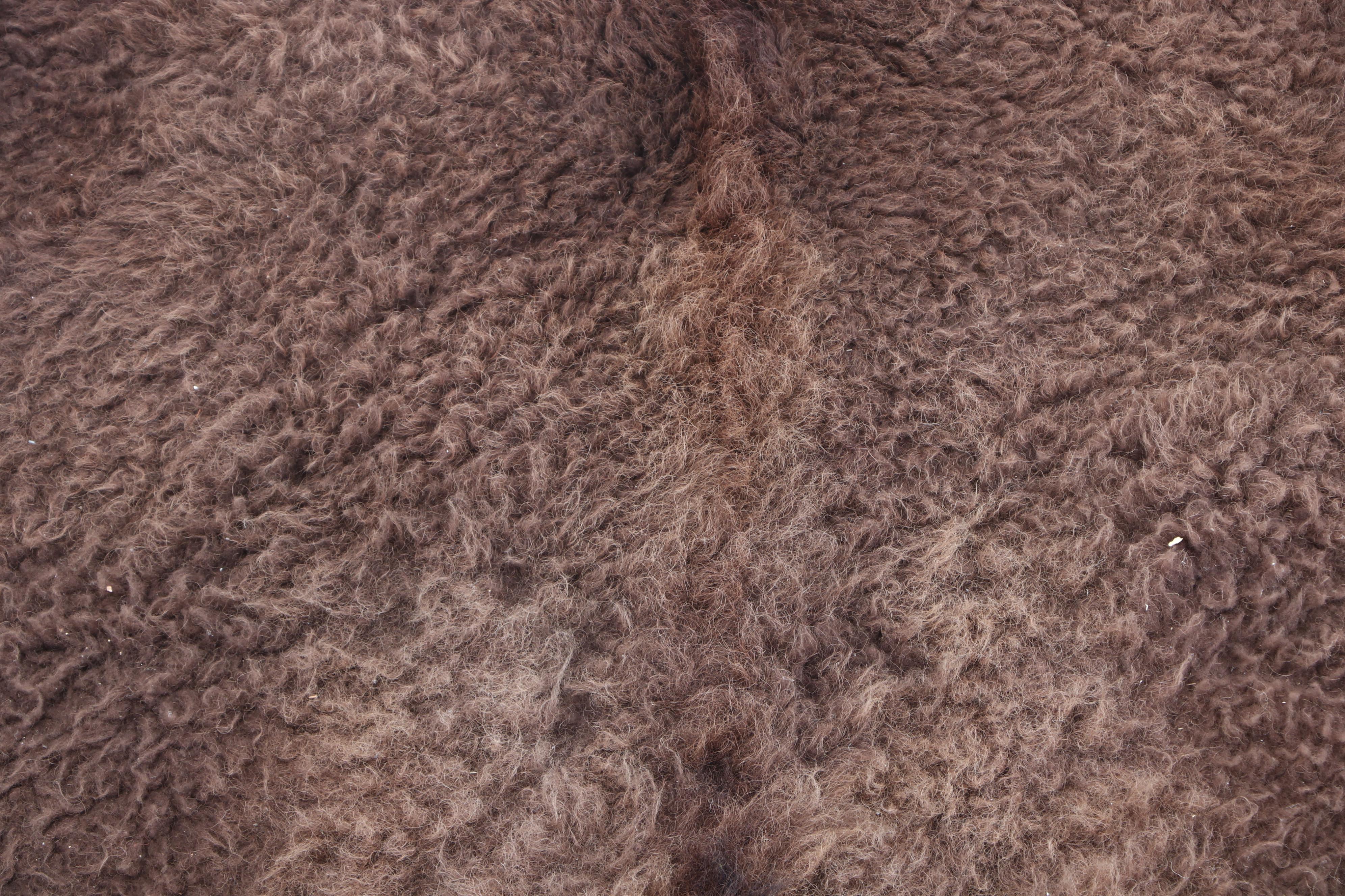Buffalo Hide Rug