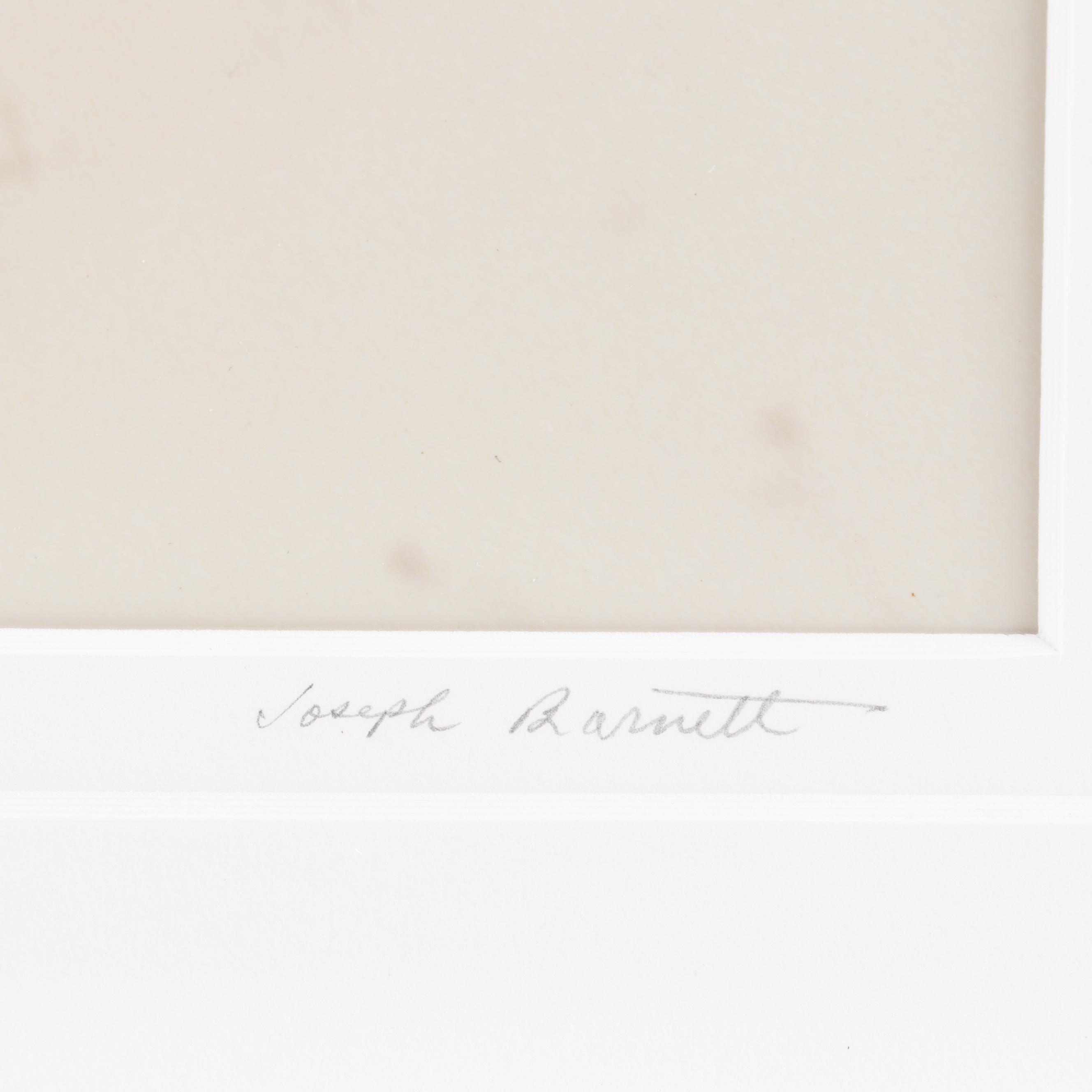 Joseph Barnett Photograph of a Winter Landscape