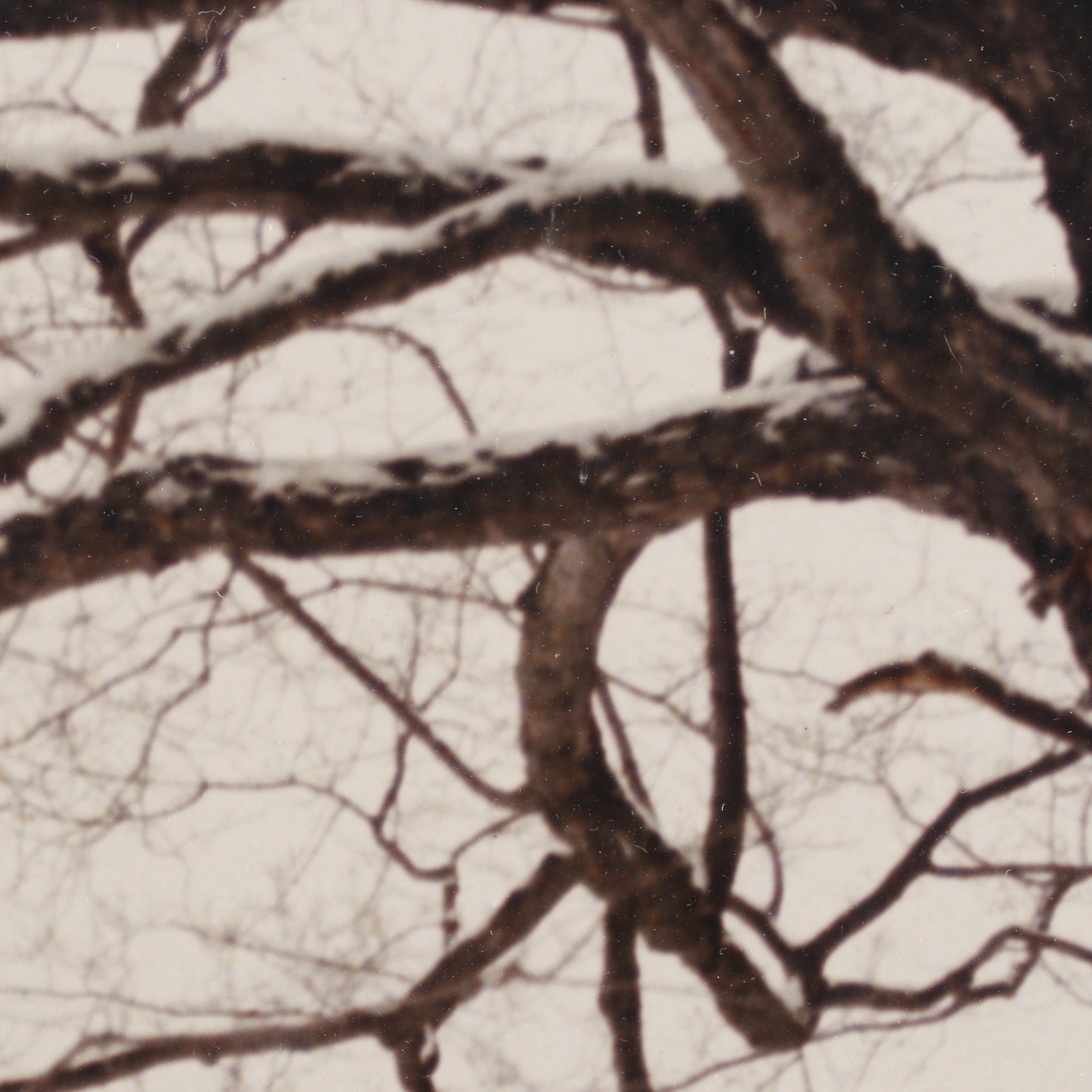 Joseph Barnett Photograph of a Winter Landscape