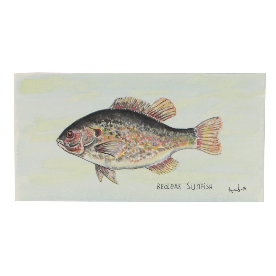 Yuriy Ukraintsev Watercolor Painting "Redear Sunfish"