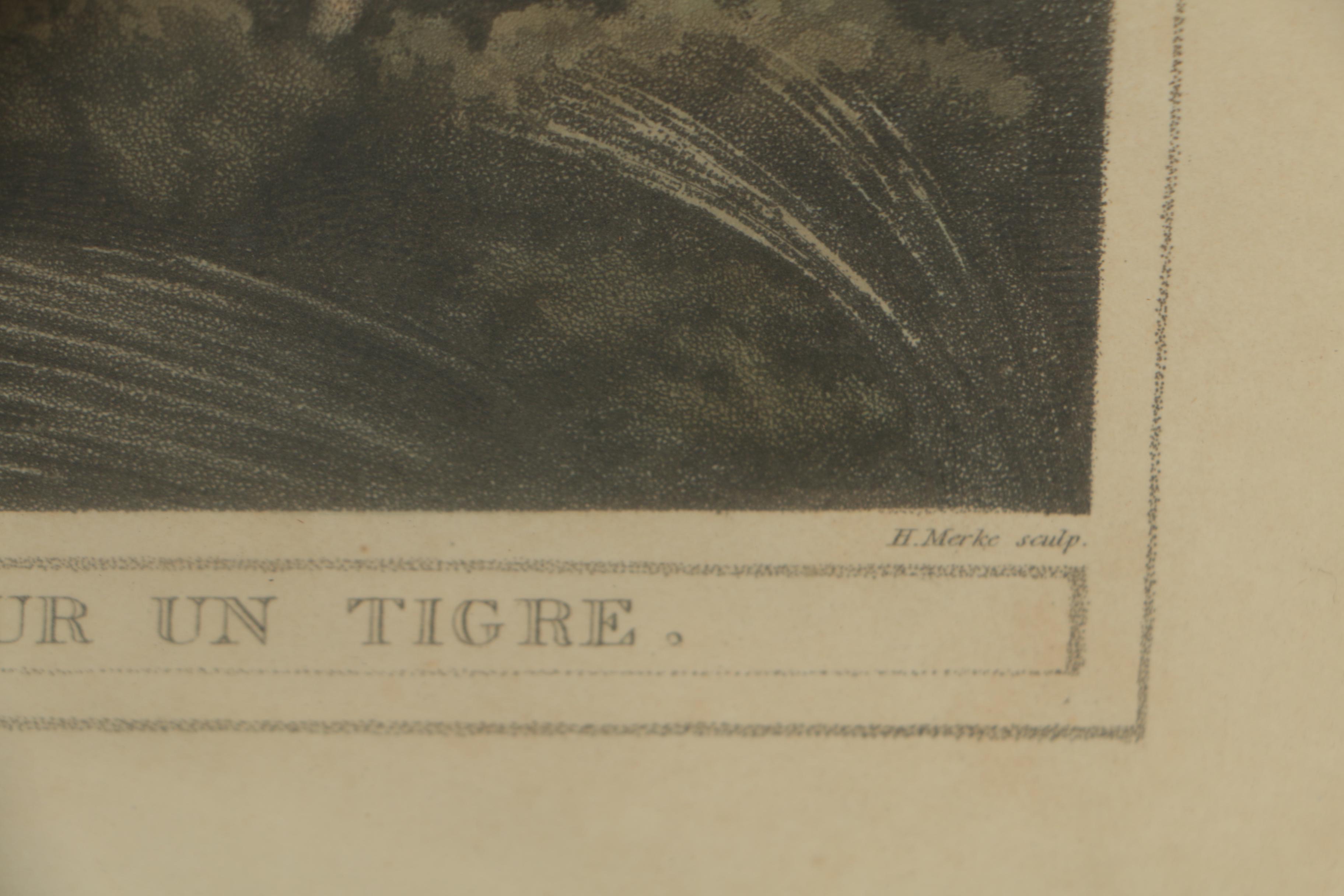 H. Merke Etchings after Samuel Howitt from "Oriental Field Sports"