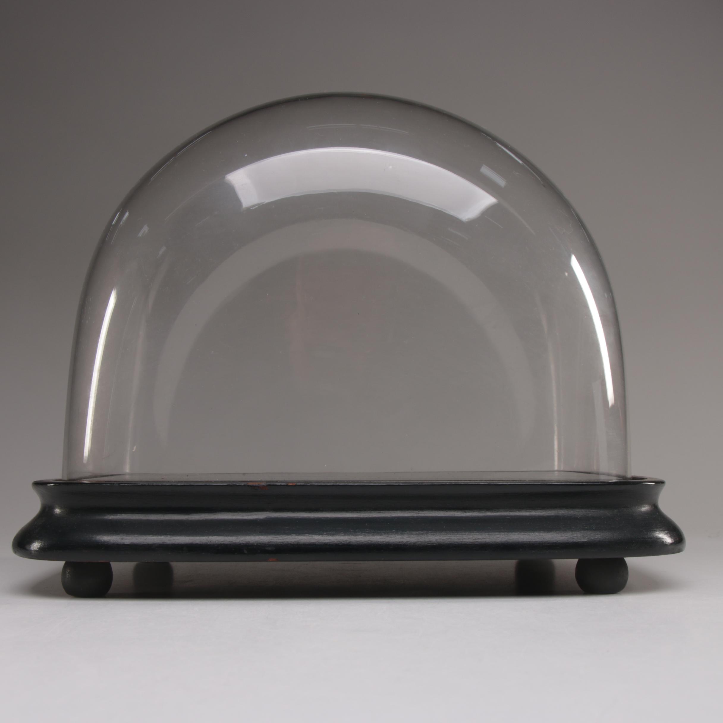 Glass Dome Display Case with Footed Wood Base