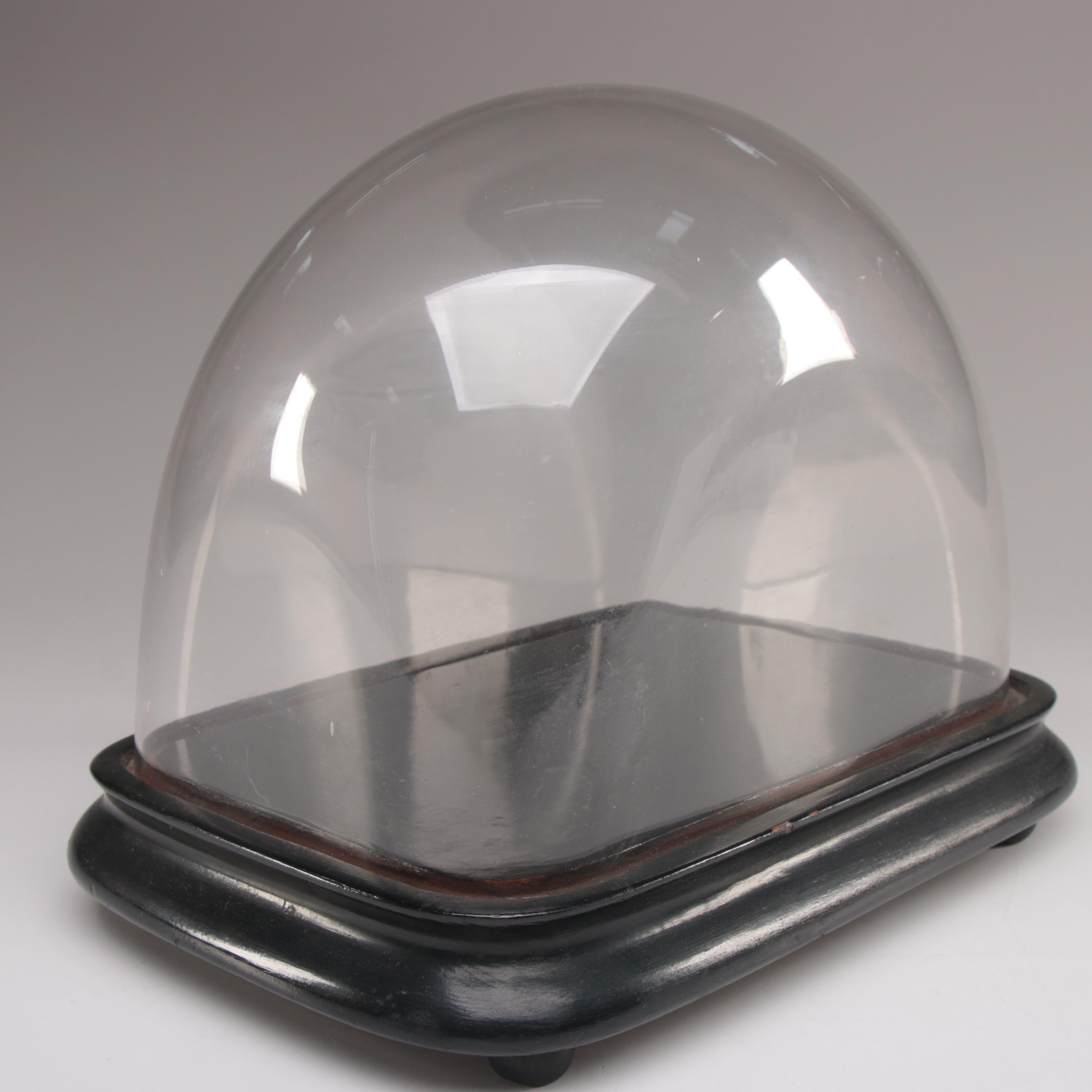 Glass Dome Display Case with Footed Wood Base