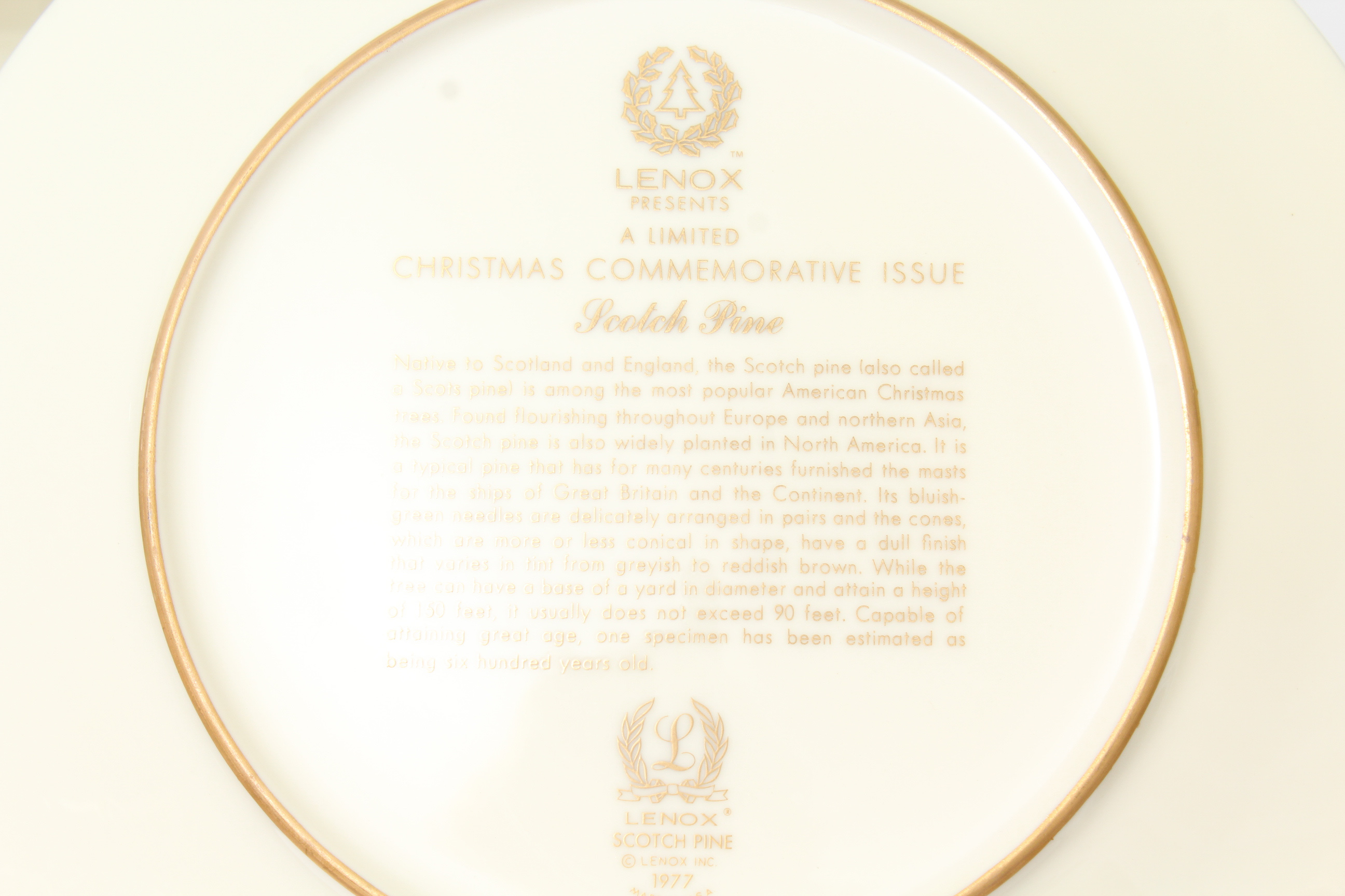 Lenox Candlesticks, Plates, and Serveware