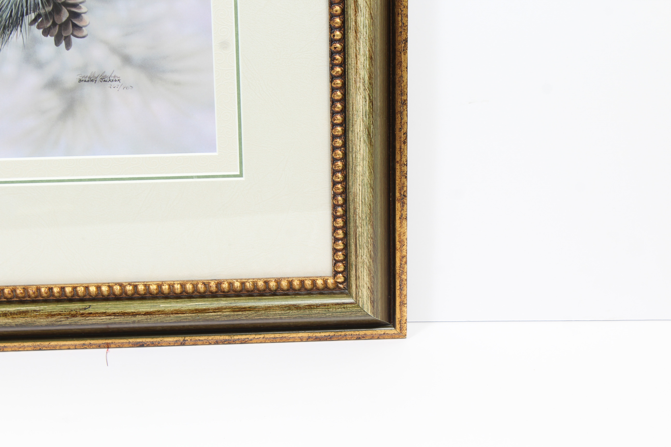 Bradley Jackson Wildlife Offset Lithograph