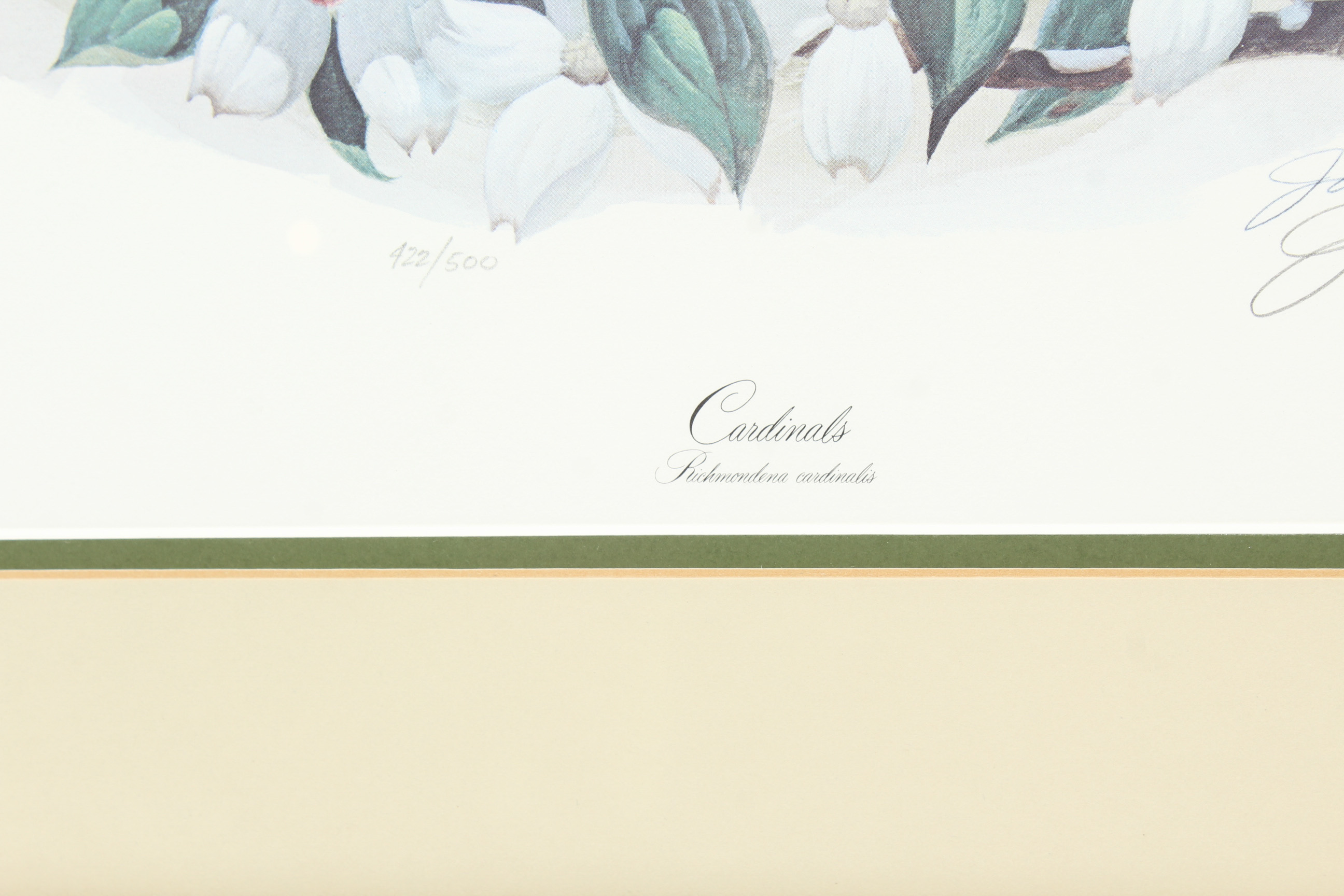 John Ruthven Offset Lithograph "Cardinals"