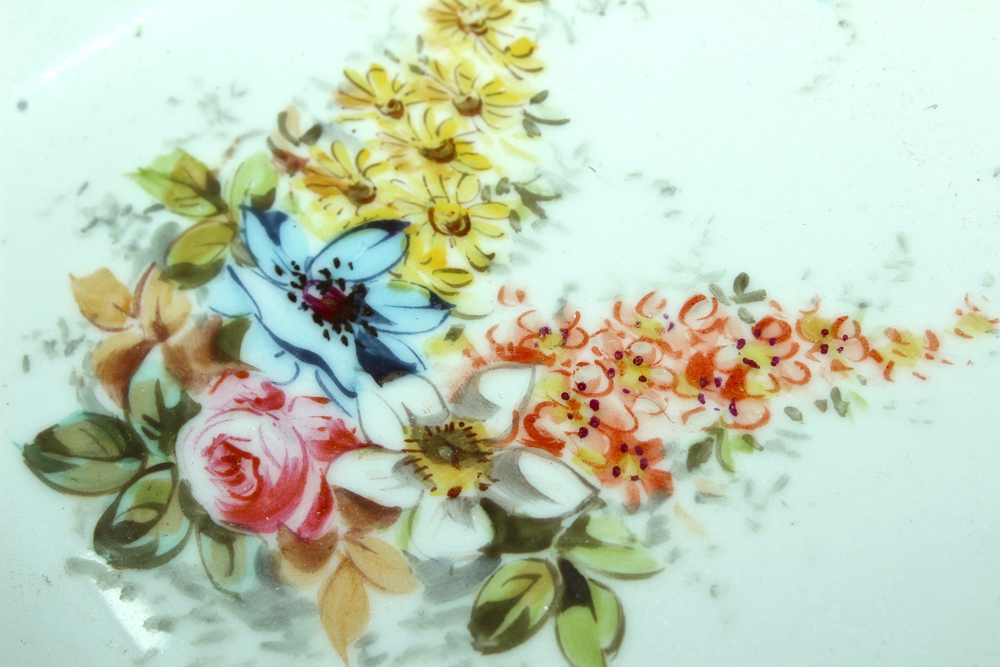 Haviland Limoges and Other Fine French Porcelain China