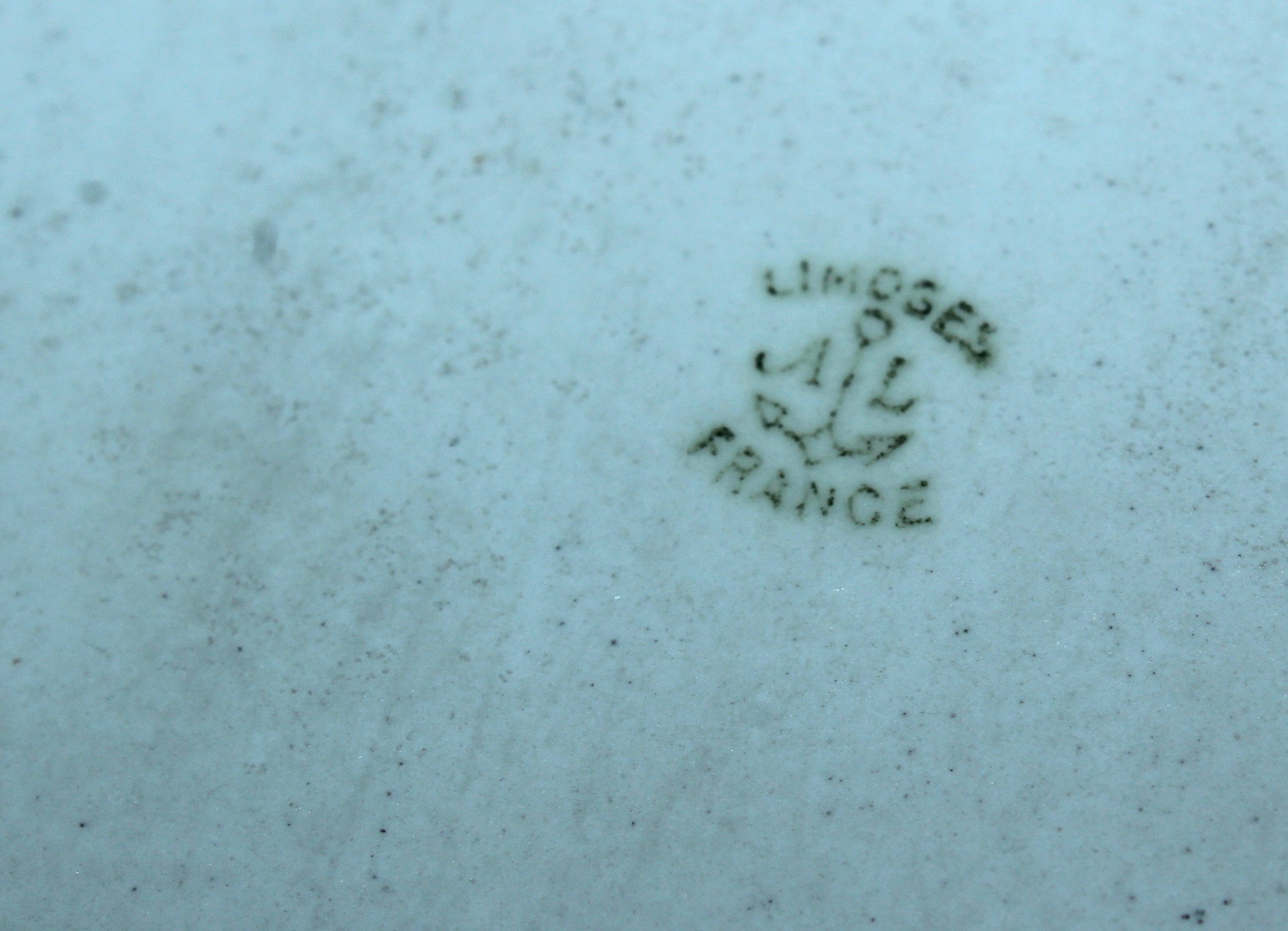 Haviland Limoges and Other Fine French Porcelain China