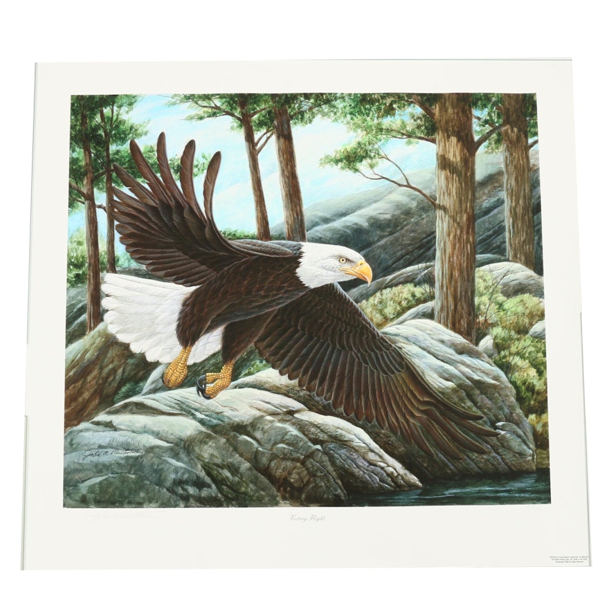 John Ruthven Limited Edition Giclée "Victory Flight"