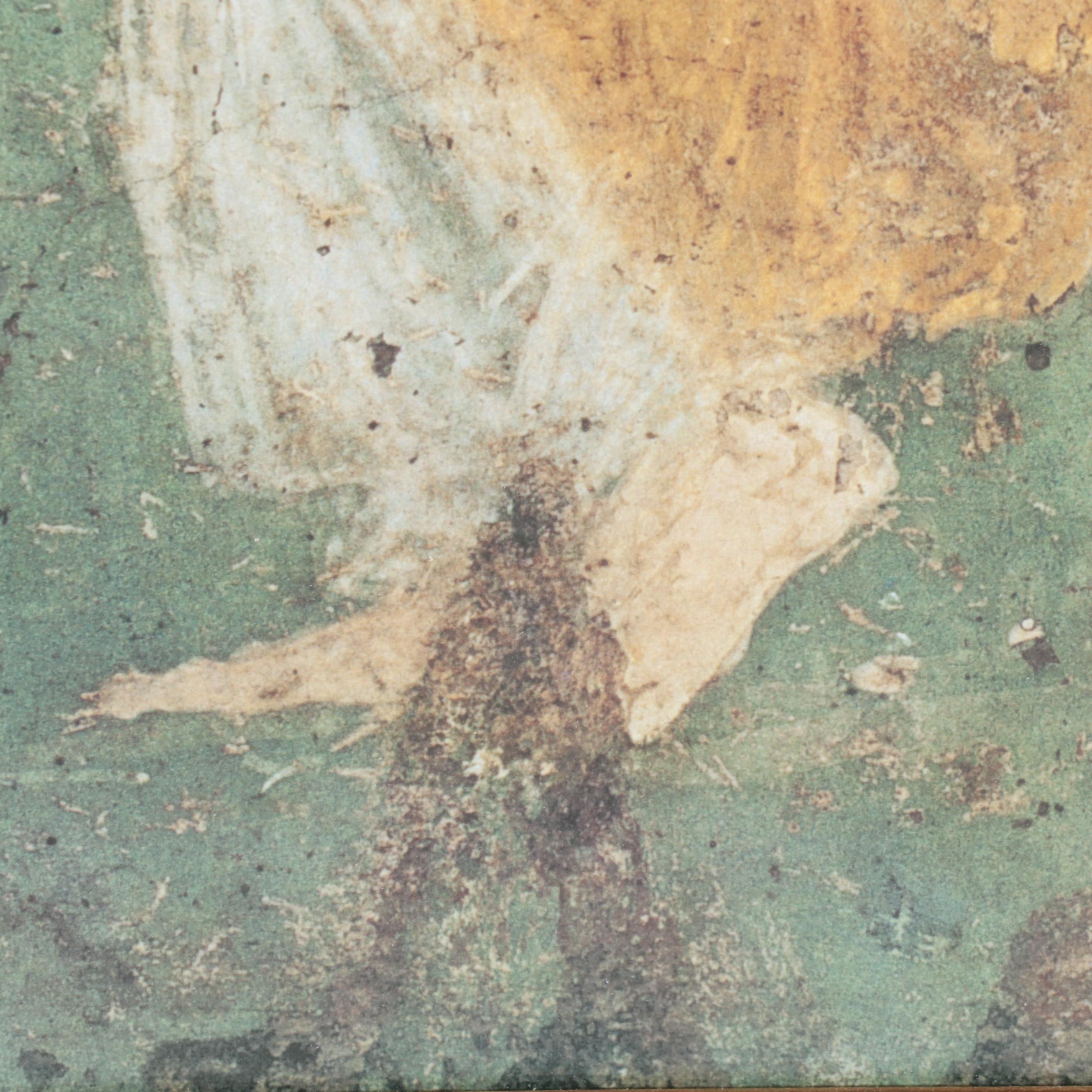 Offset Lithograph After Pompeii Fresco "Europa Picking Flowers"