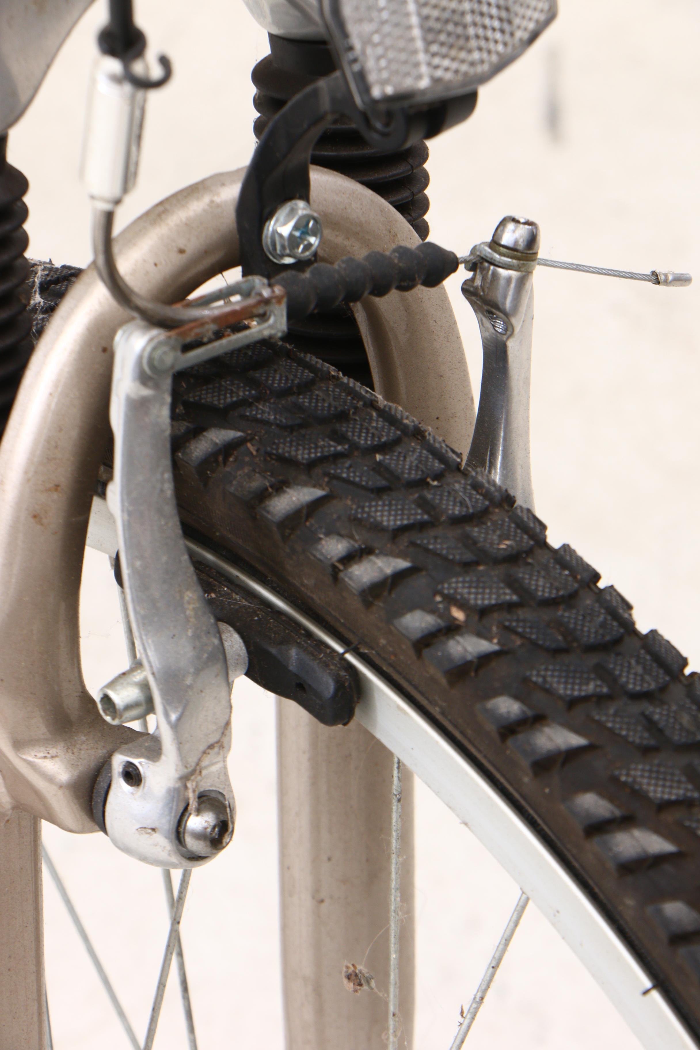 Land Rider Men's Auto Shift Bicycle