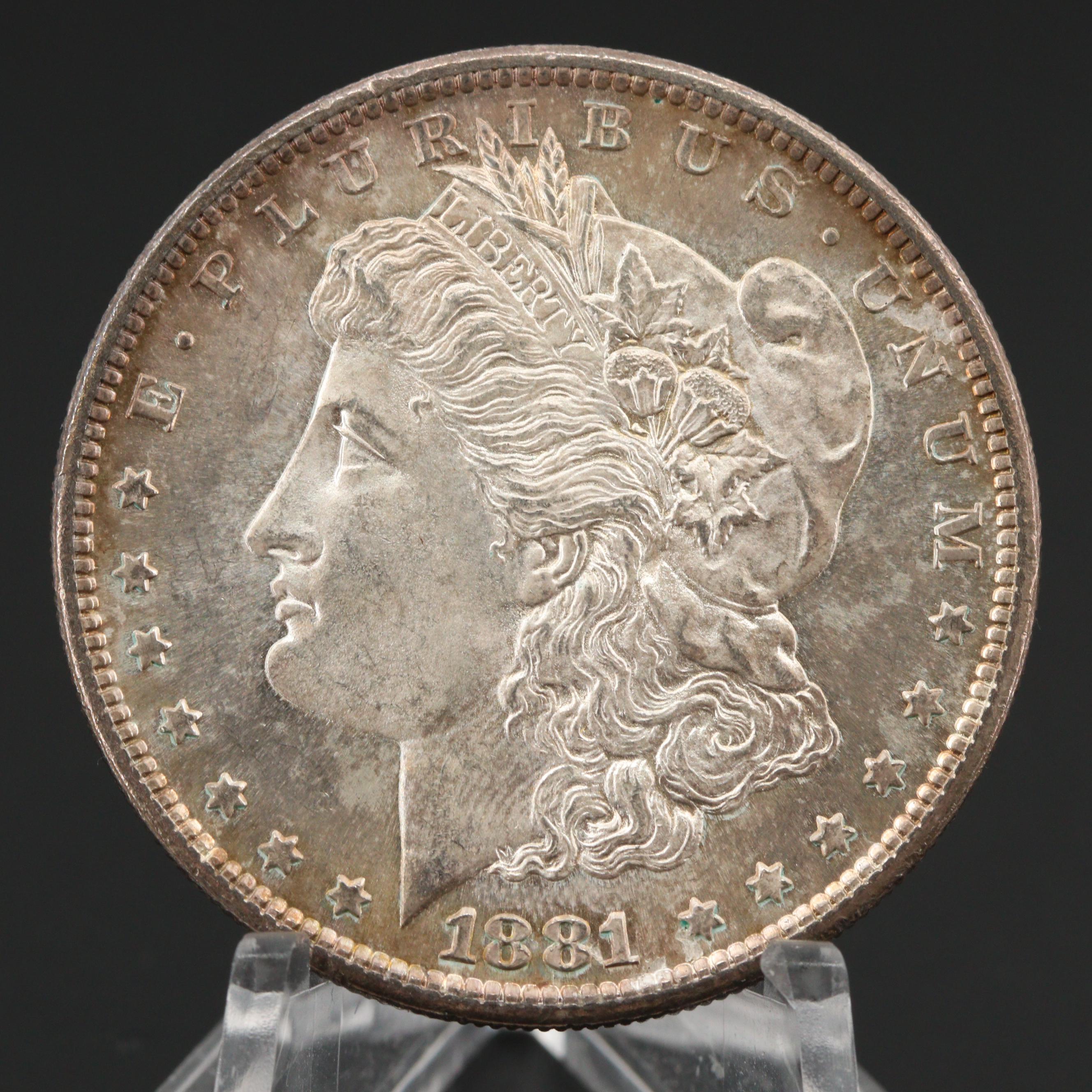 Ten Uncirculated 1881 Silver Morgan Dollars