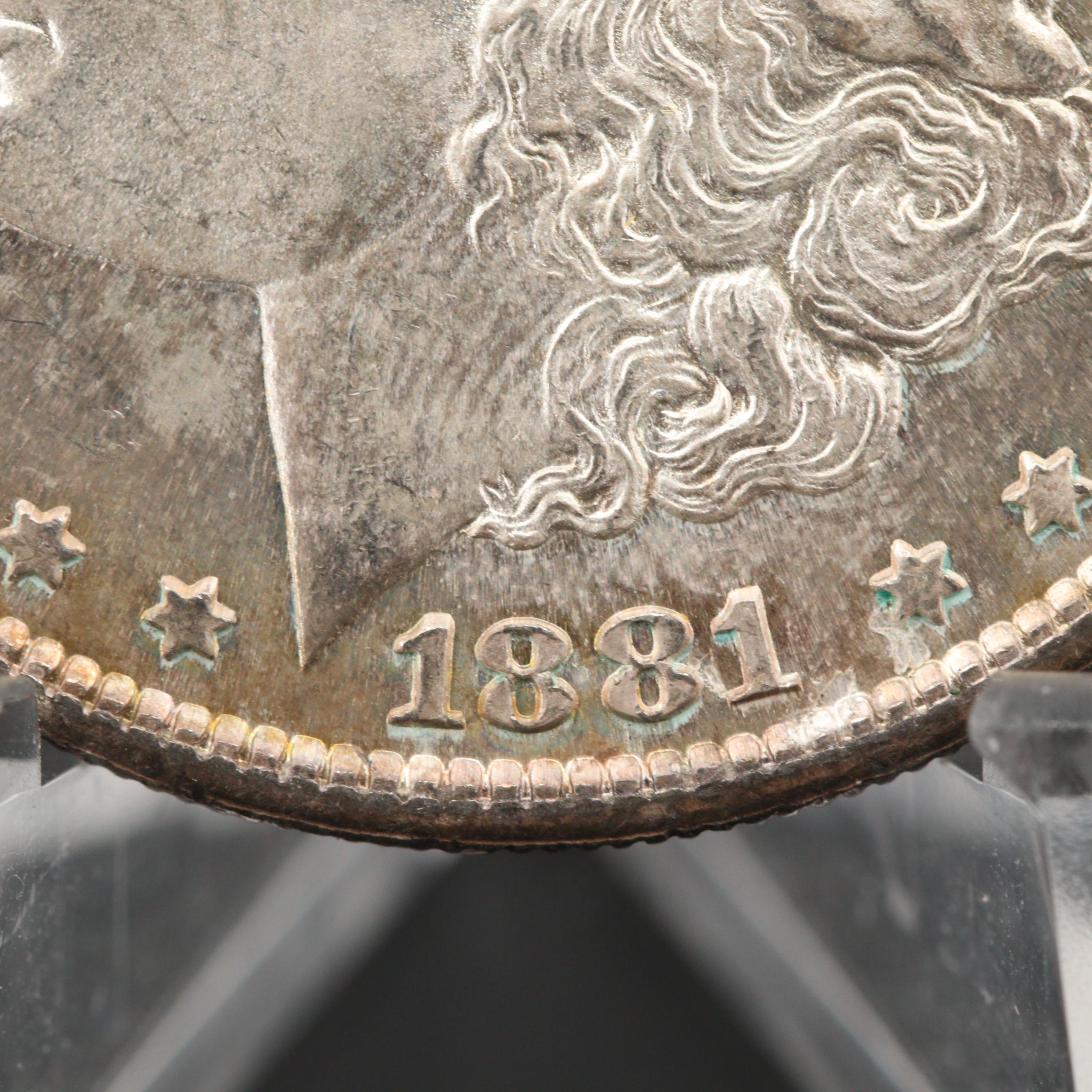 Ten Uncirculated 1881 Silver Morgan Dollars