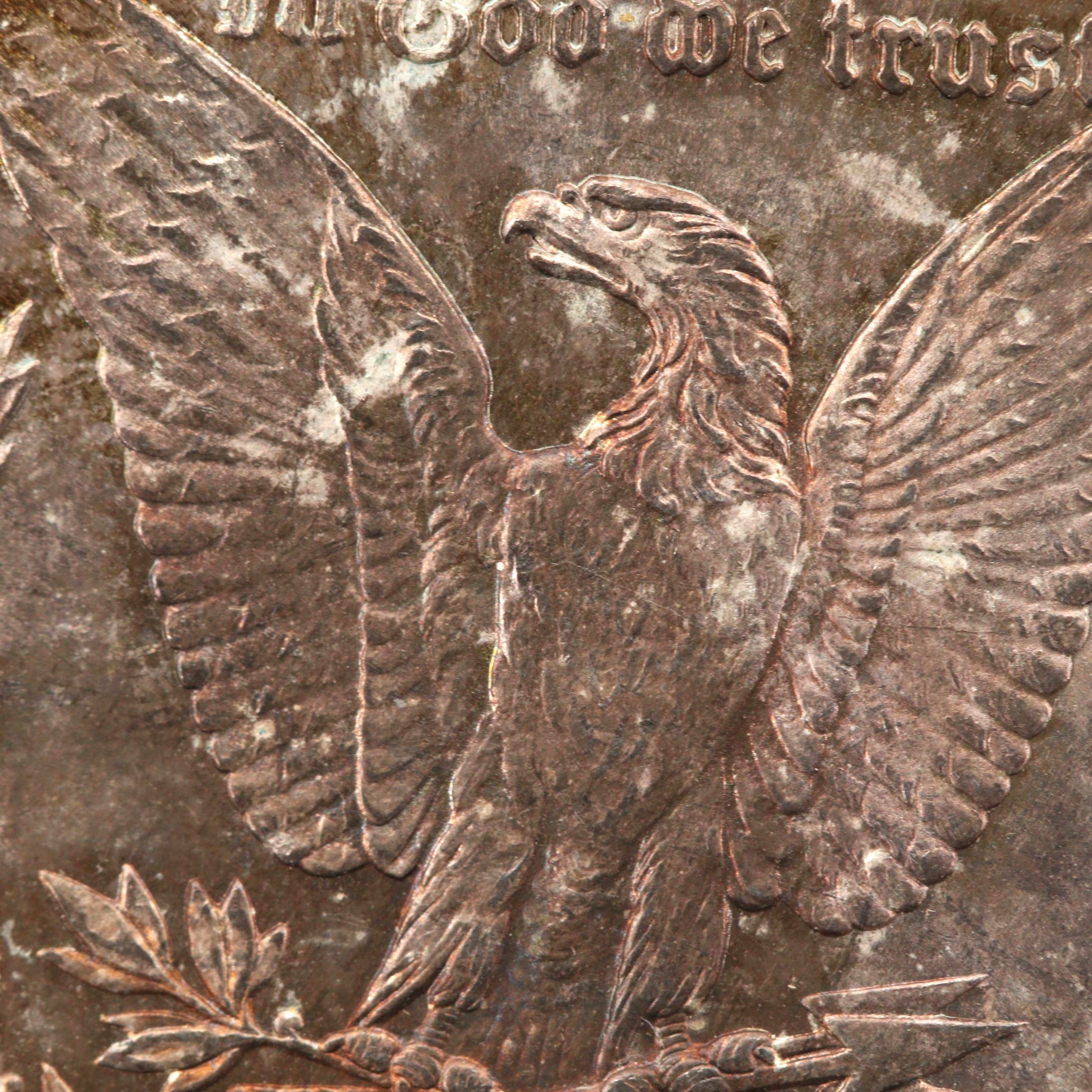 Ten Uncirculated 1881 Silver Morgan Dollars