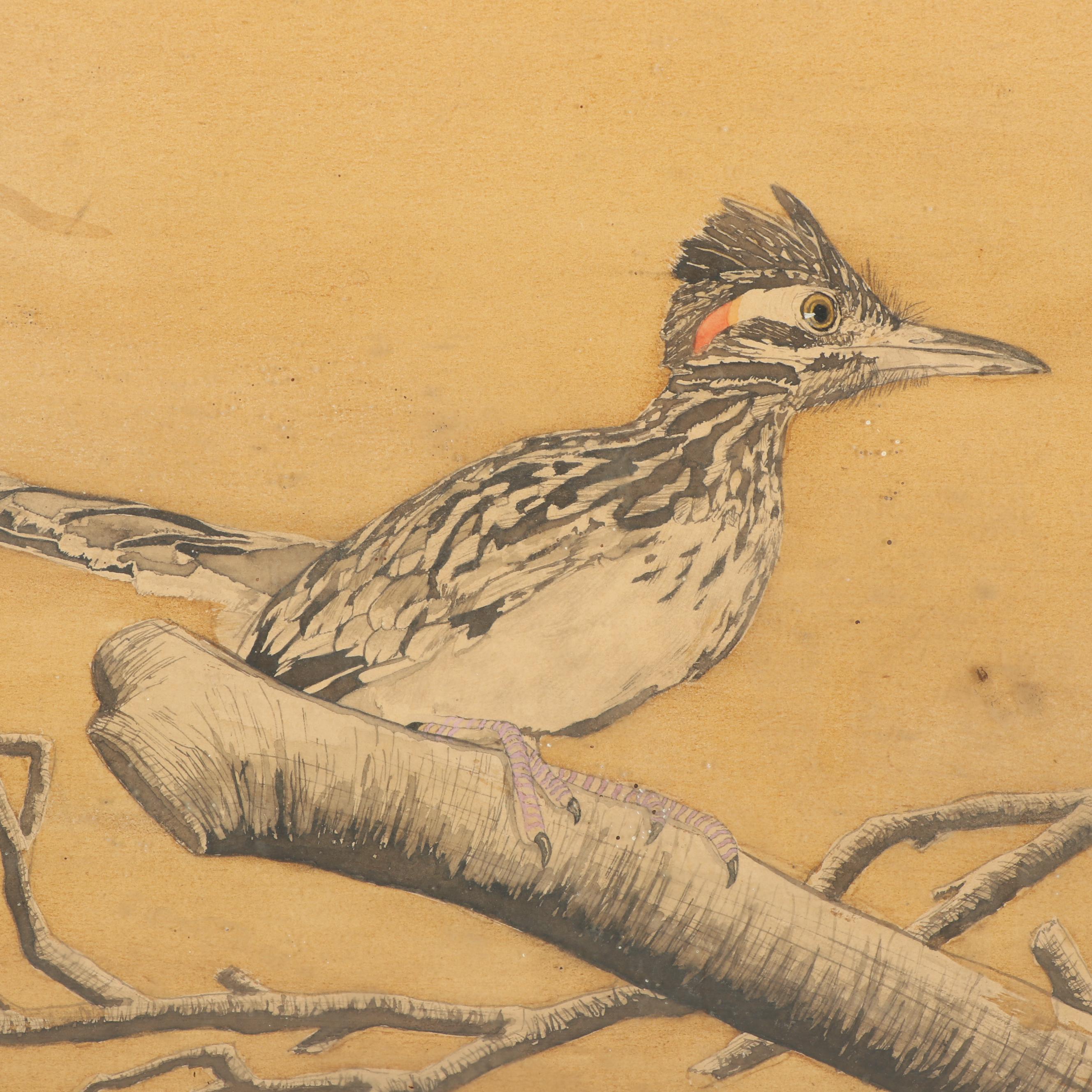 Roadrunner Watercolor and Graphite Painting