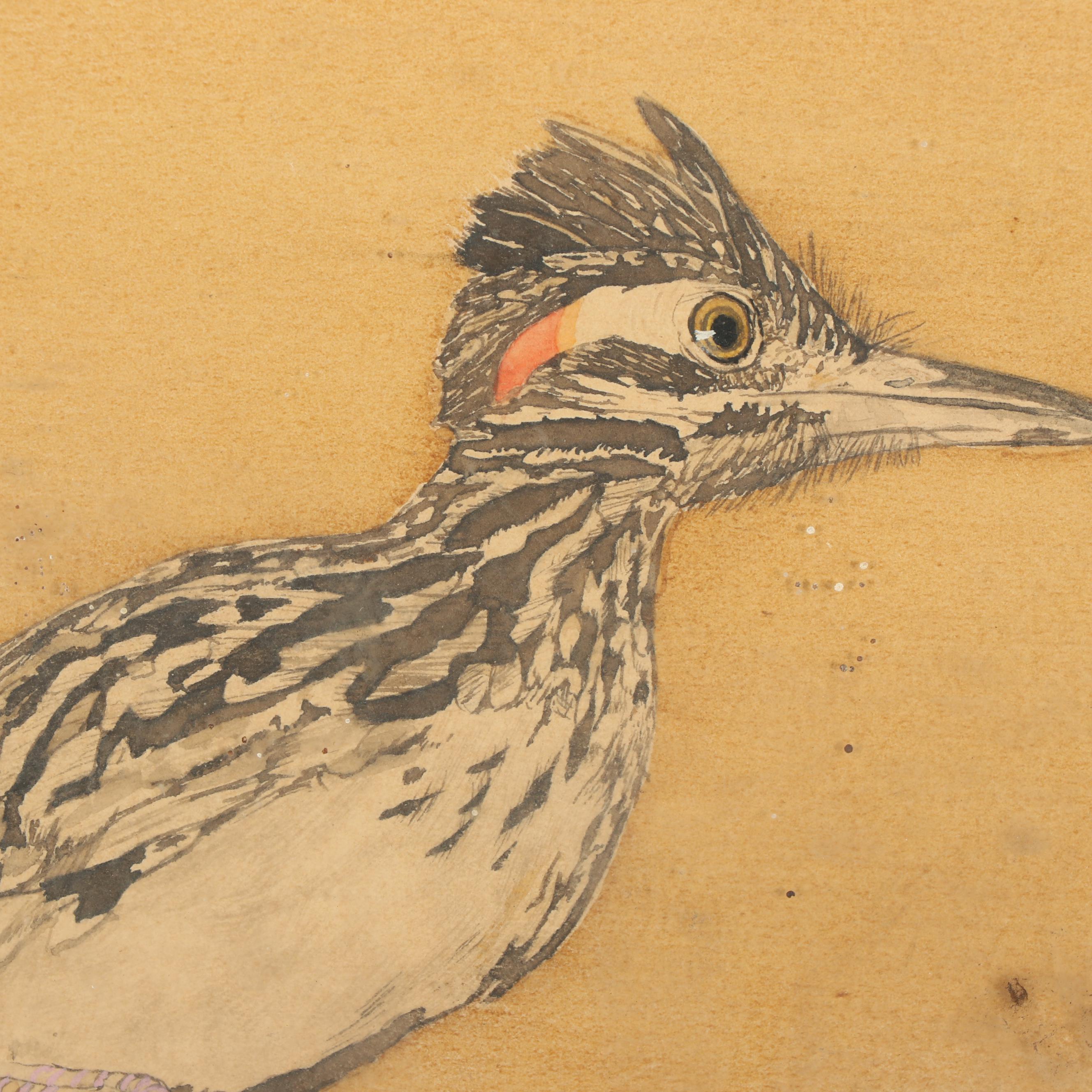 Roadrunner Watercolor and Graphite Painting