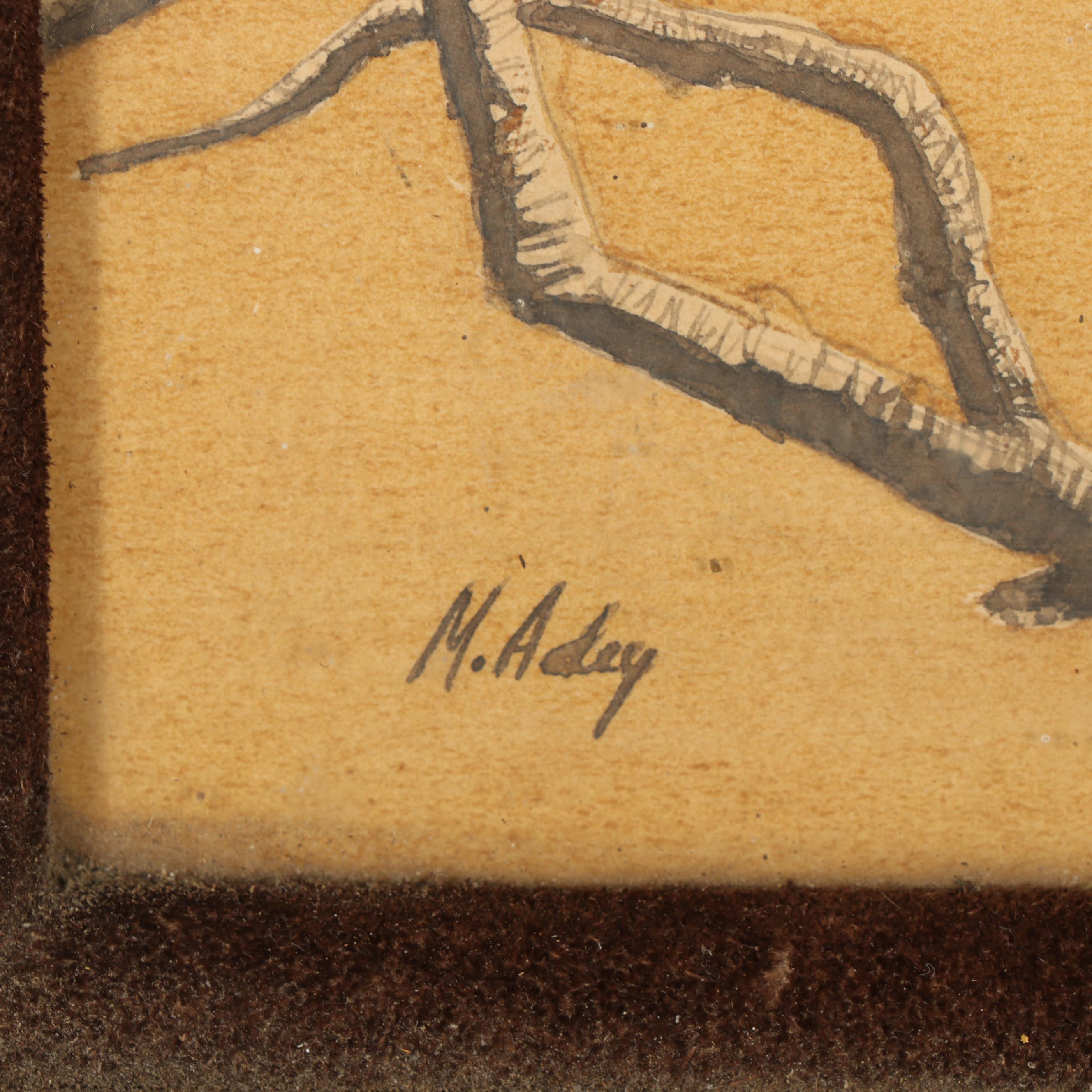 Roadrunner Watercolor and Graphite Painting