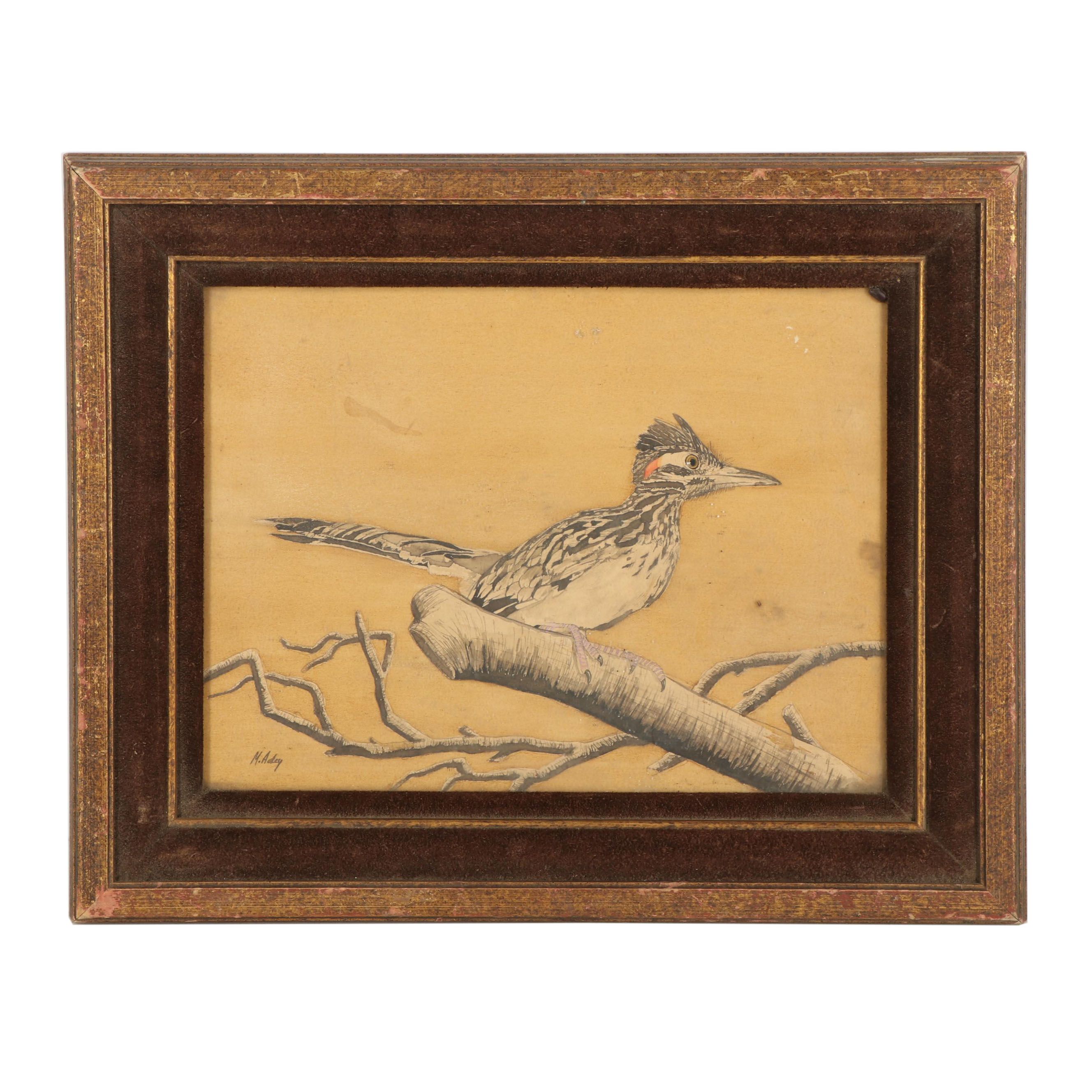 Roadrunner Watercolor and Graphite Painting