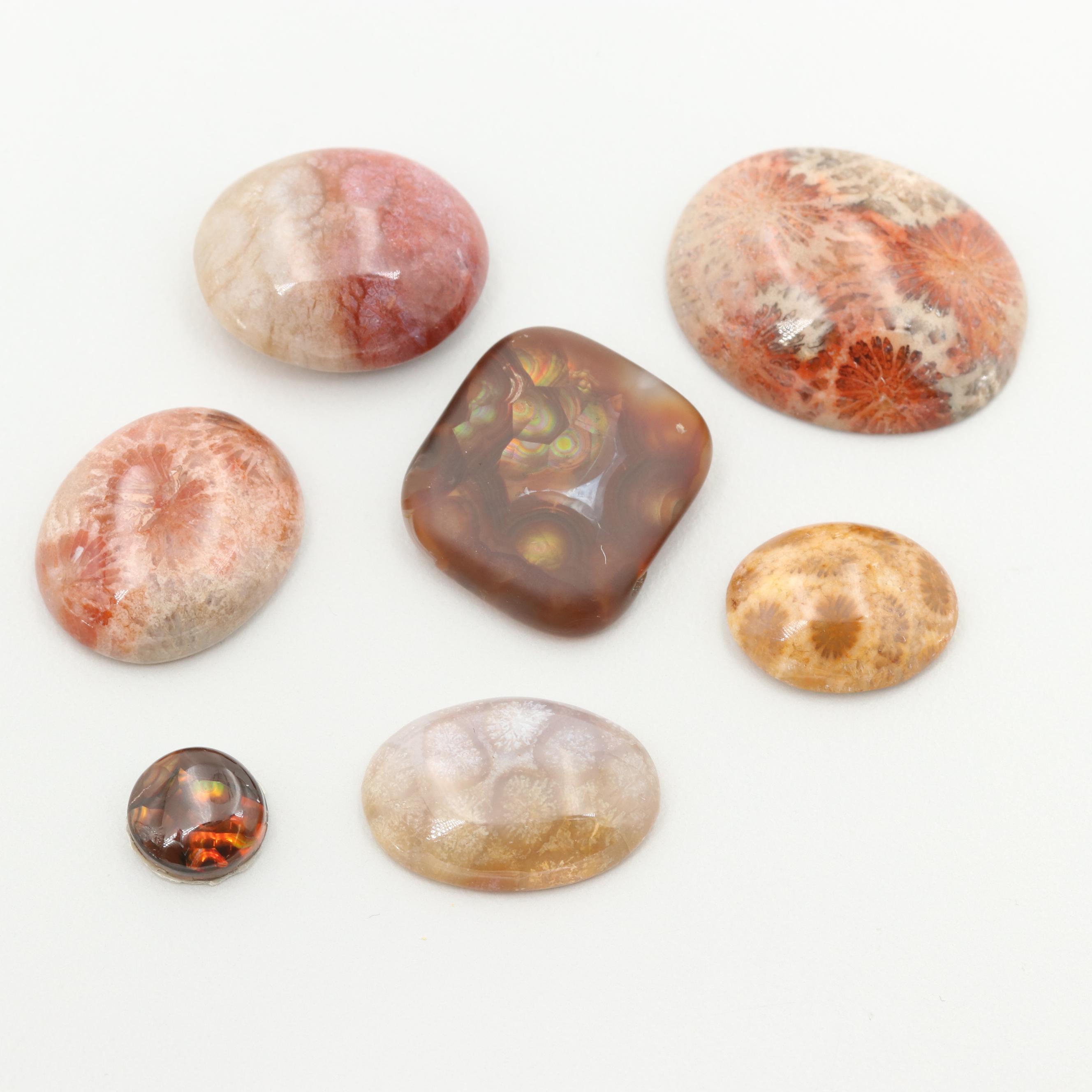 Loose 111.13 CTW Fire Agate and Fossilized Coral