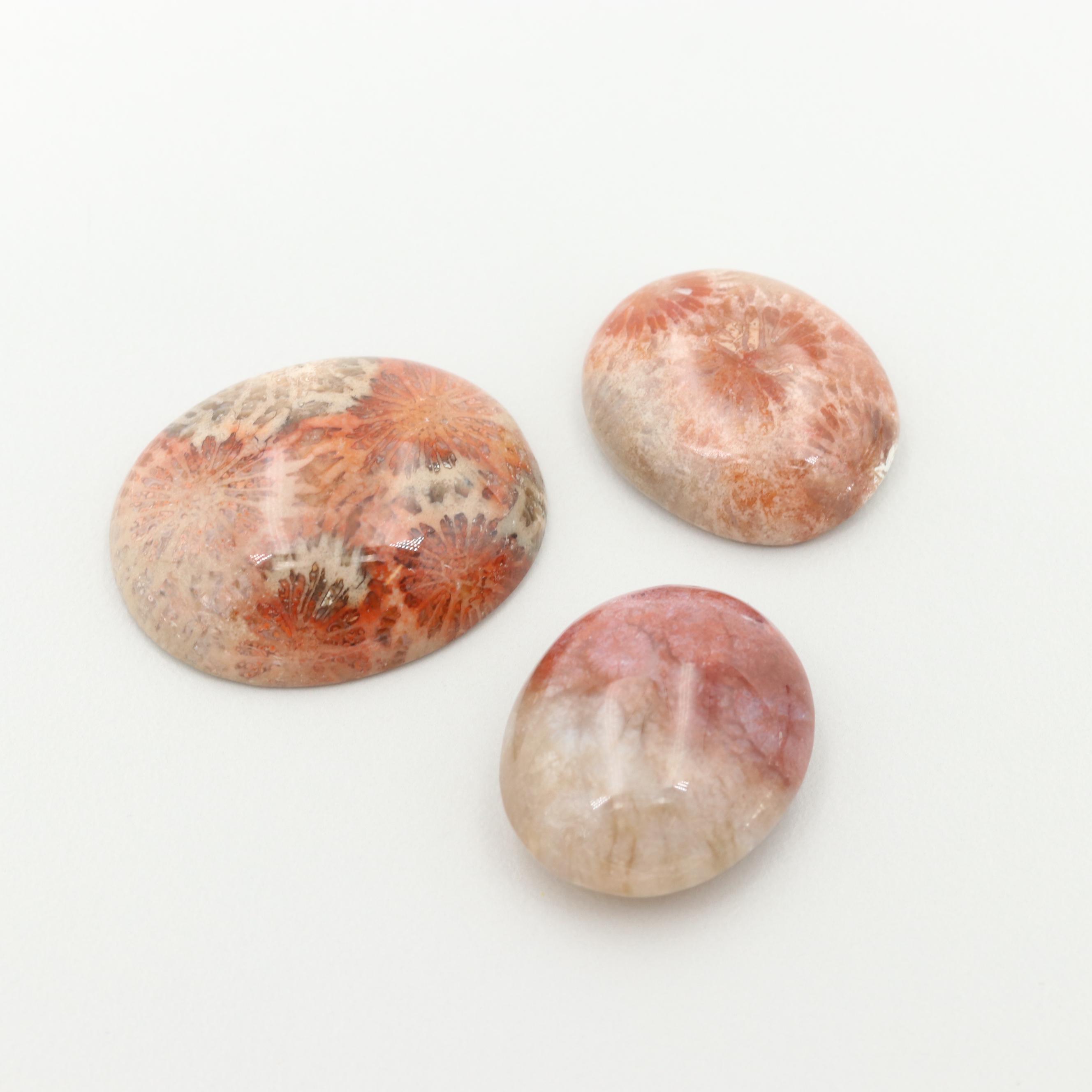Loose 111.13 CTW Fire Agate and Fossilized Coral
