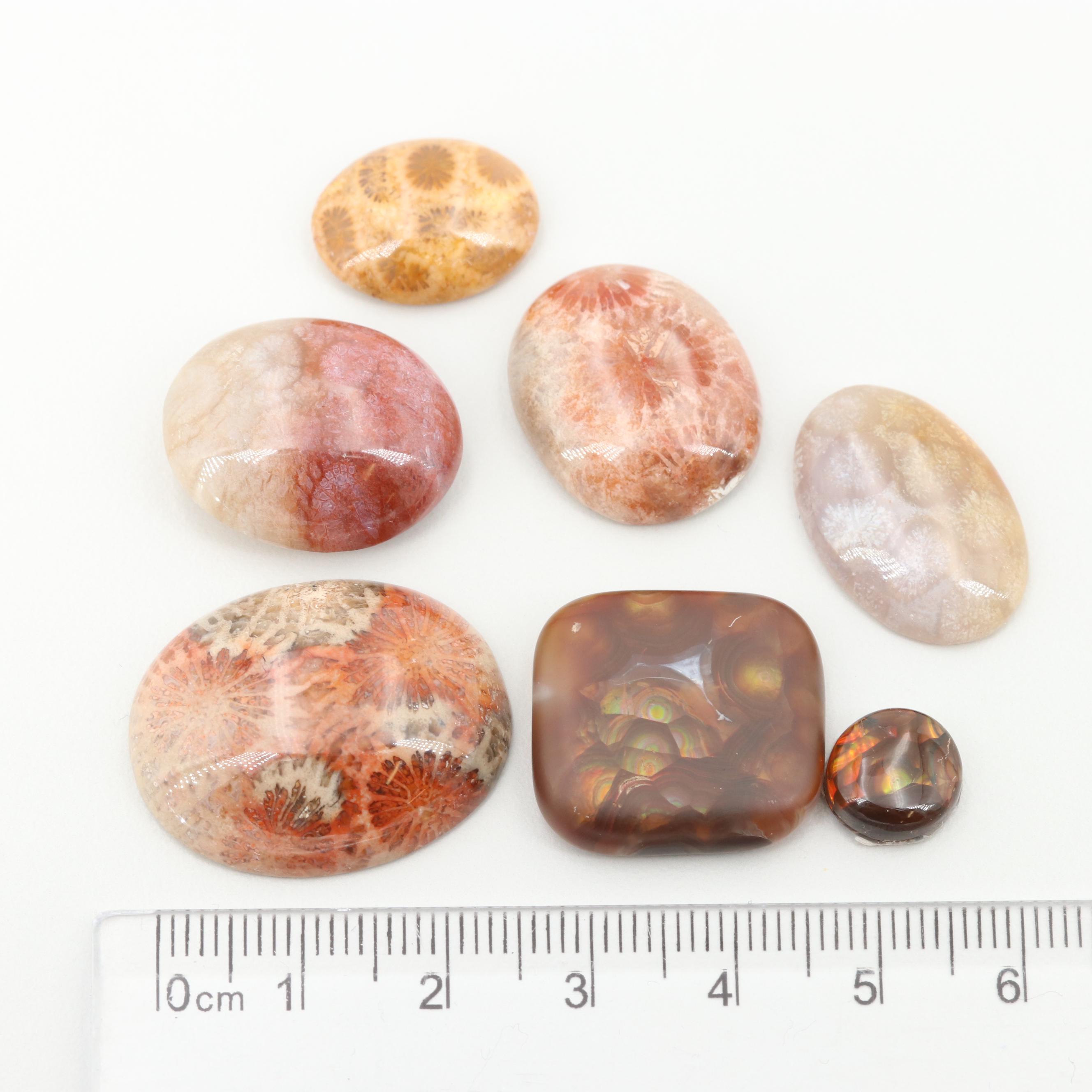Loose 111.13 CTW Fire Agate and Fossilized Coral