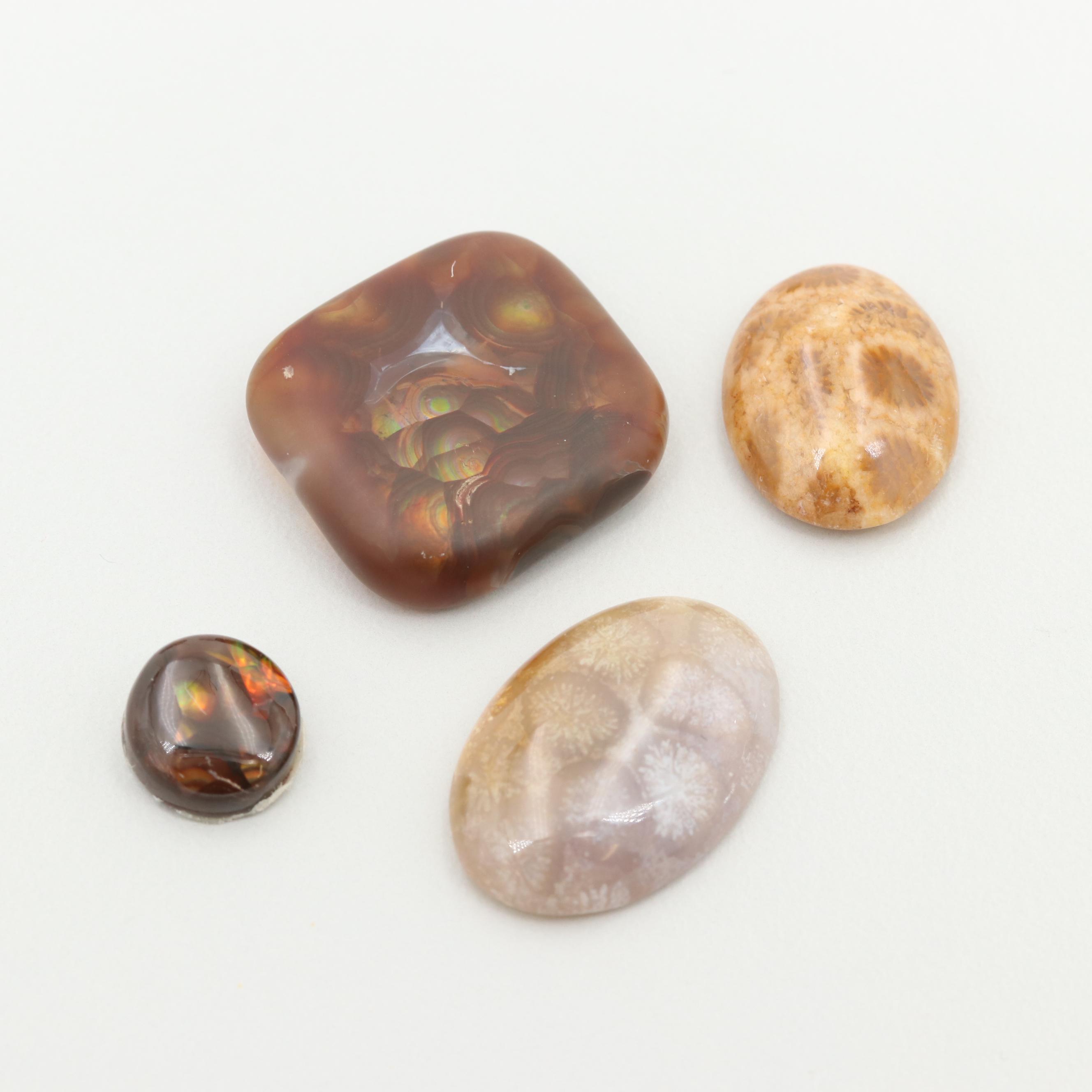 Loose 111.13 CTW Fire Agate and Fossilized Coral