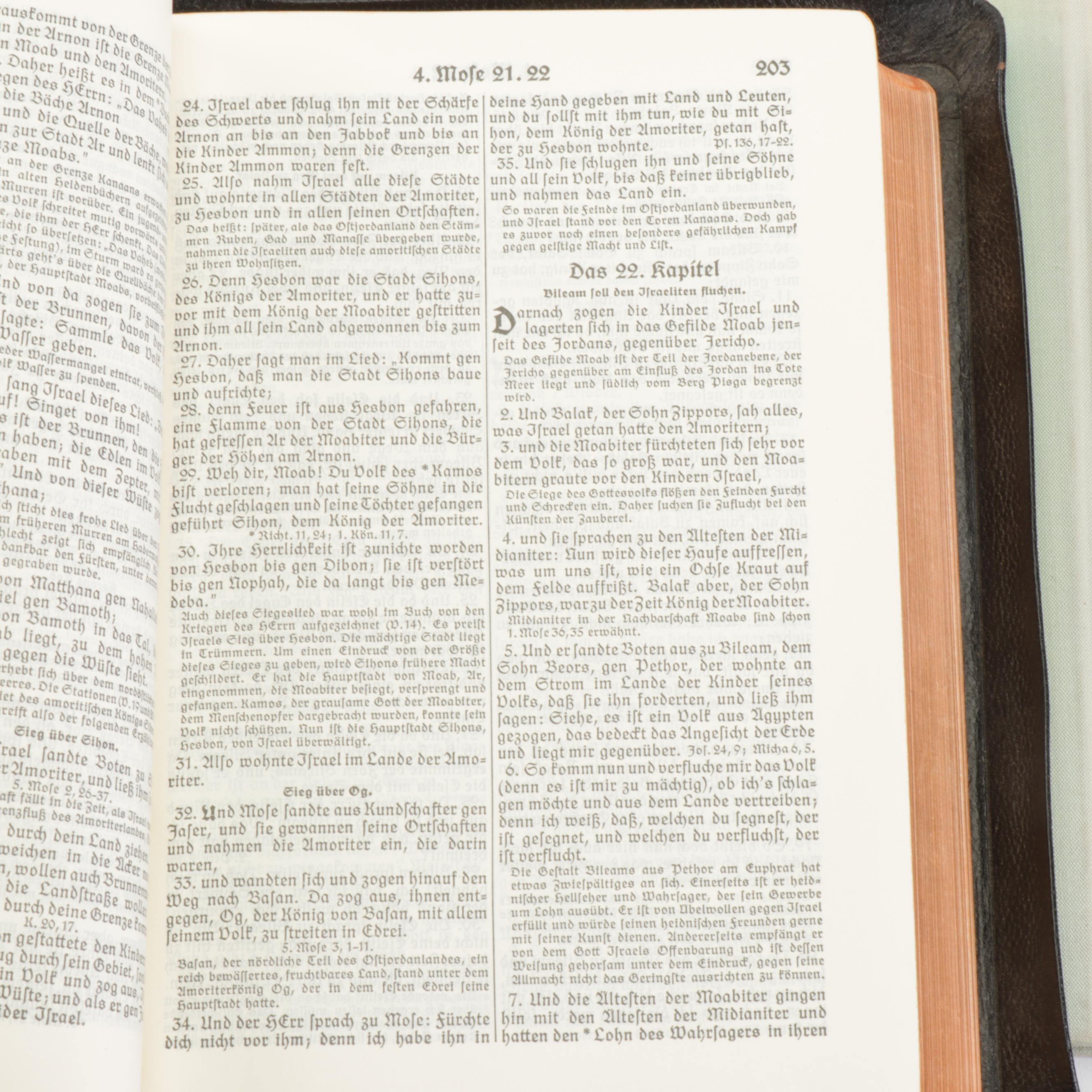 "Luthers Werke" Eight Volume Set and Other Vintage German Religious Books