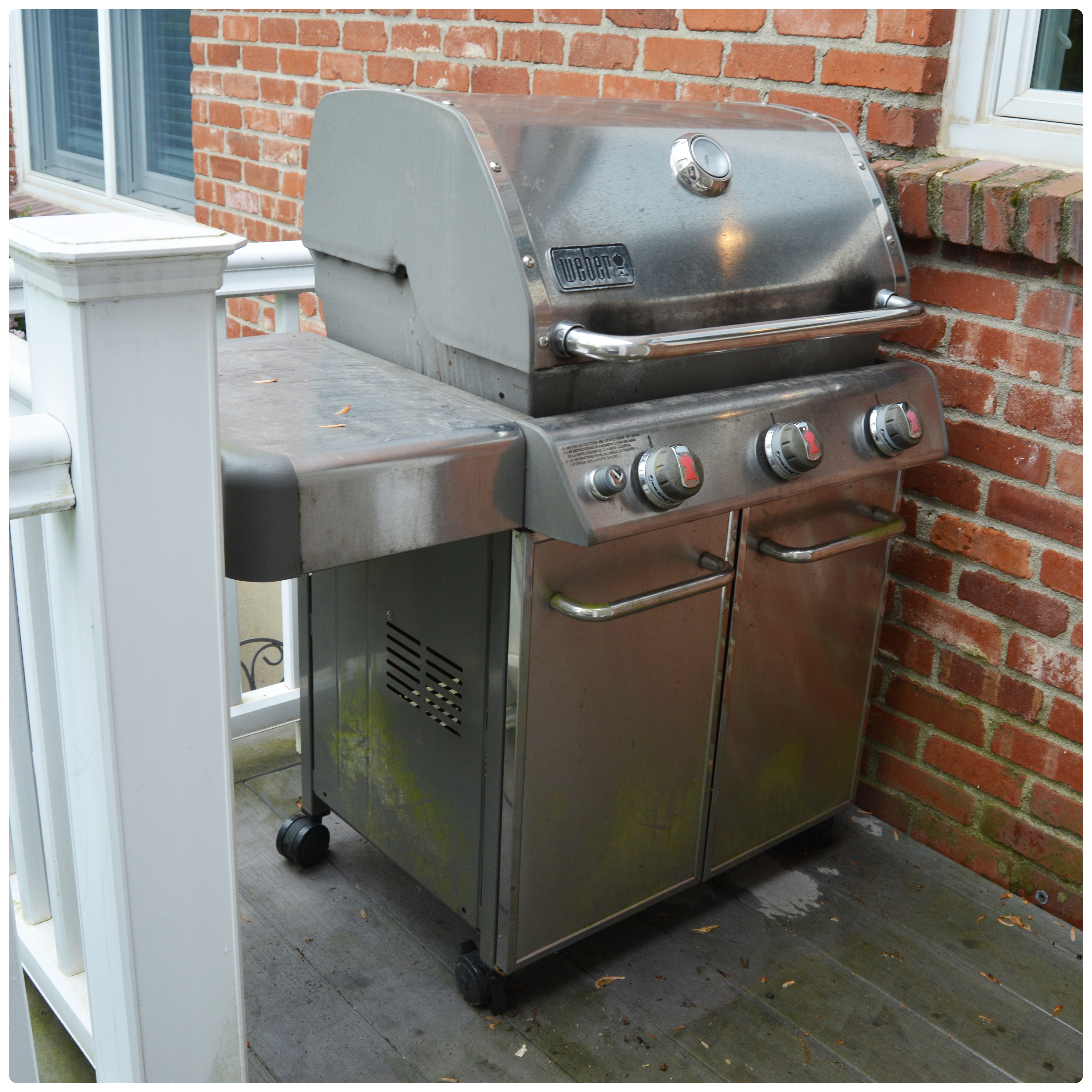 Weber Outdoor Gas Grill